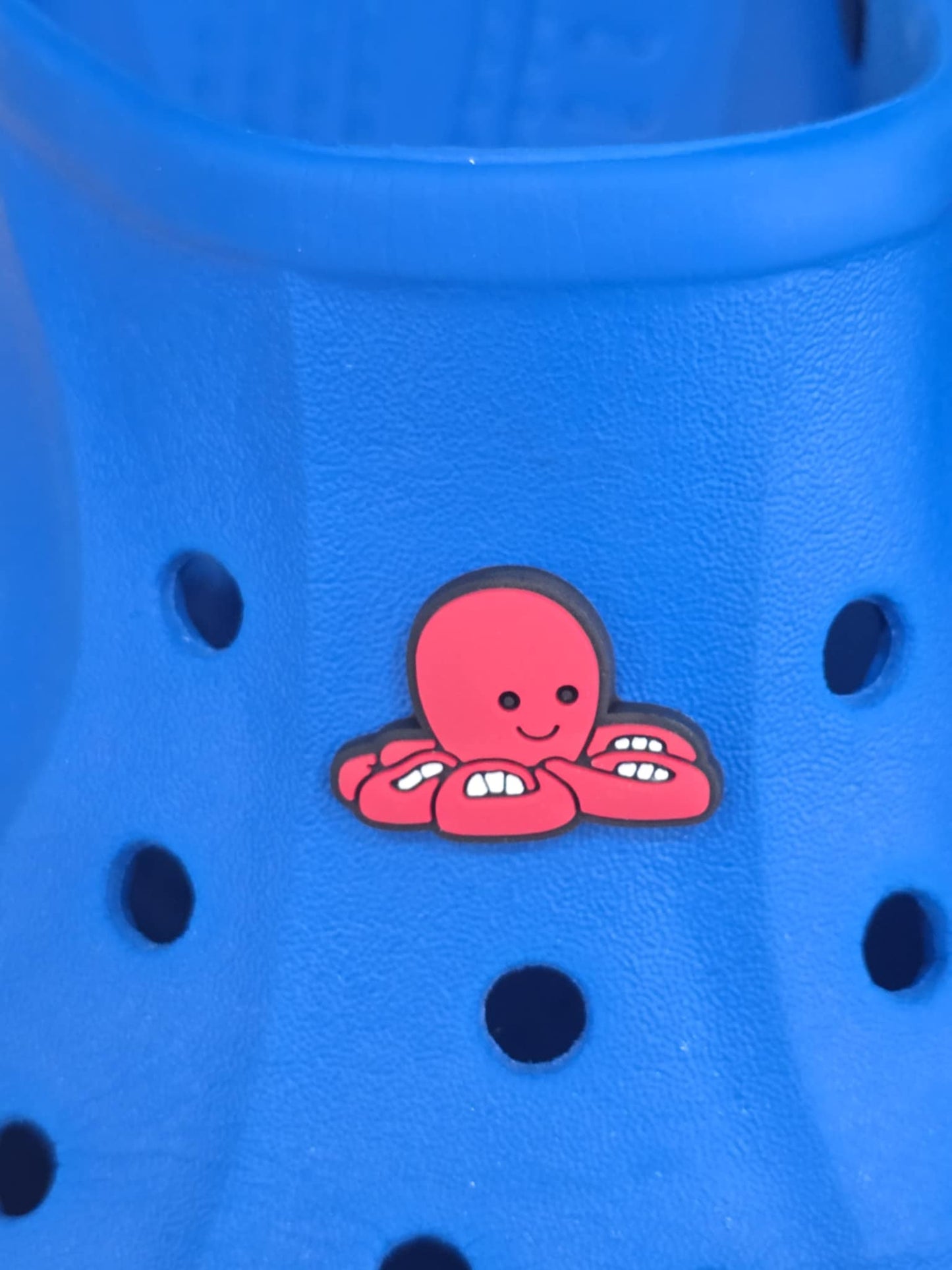 Jelly Croc Charms, Shoe Decorations, Shoe Charms