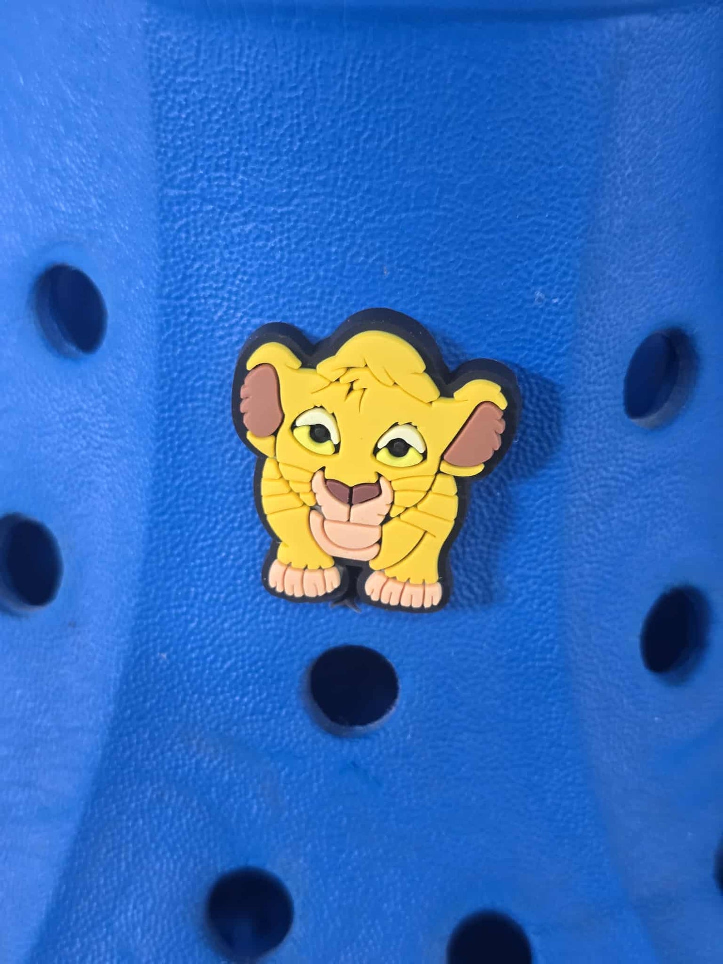 Lion King Themed Croc Charms