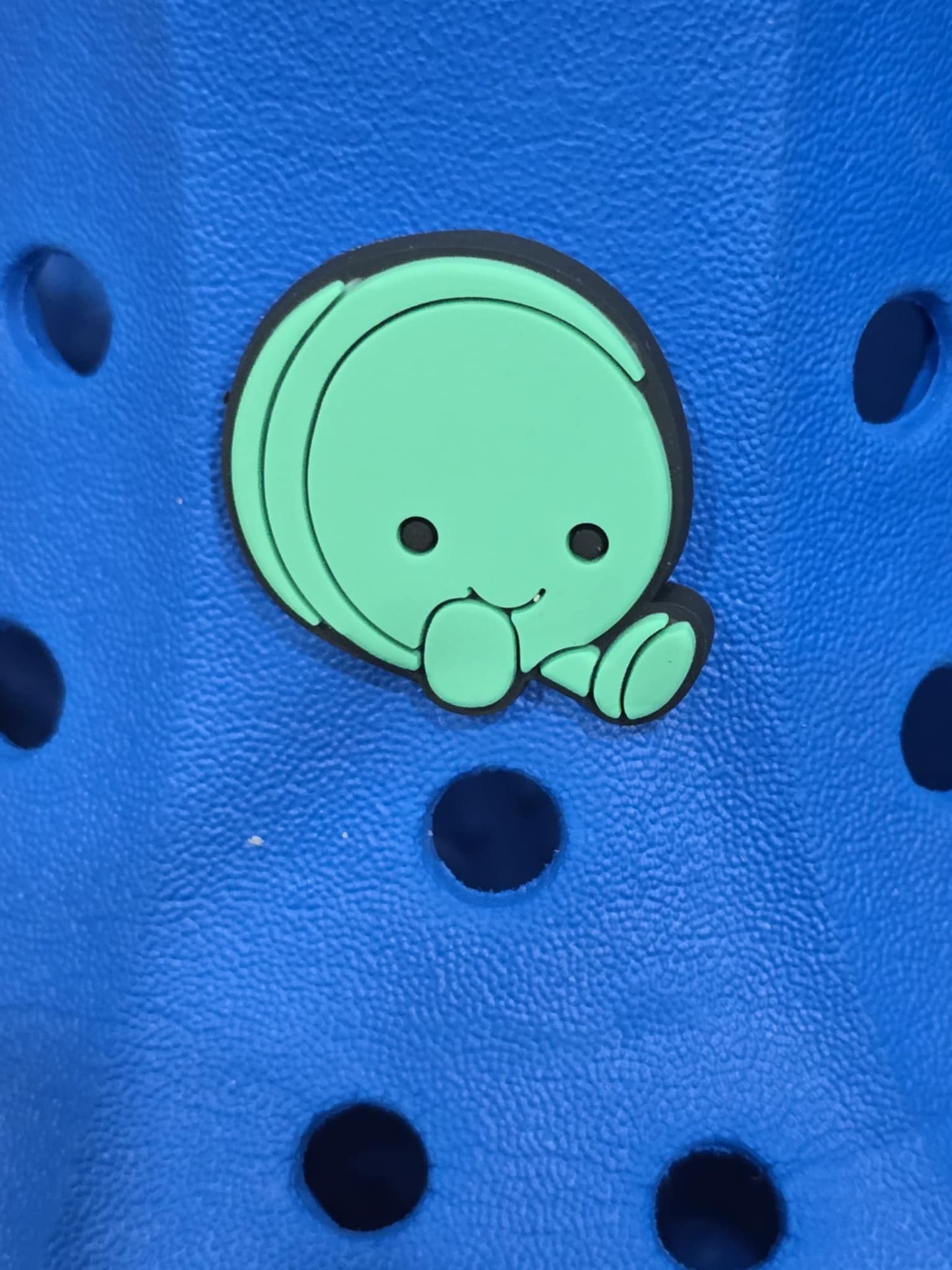 Jelly Croc Charms, Shoe Decorations, Shoe Charms