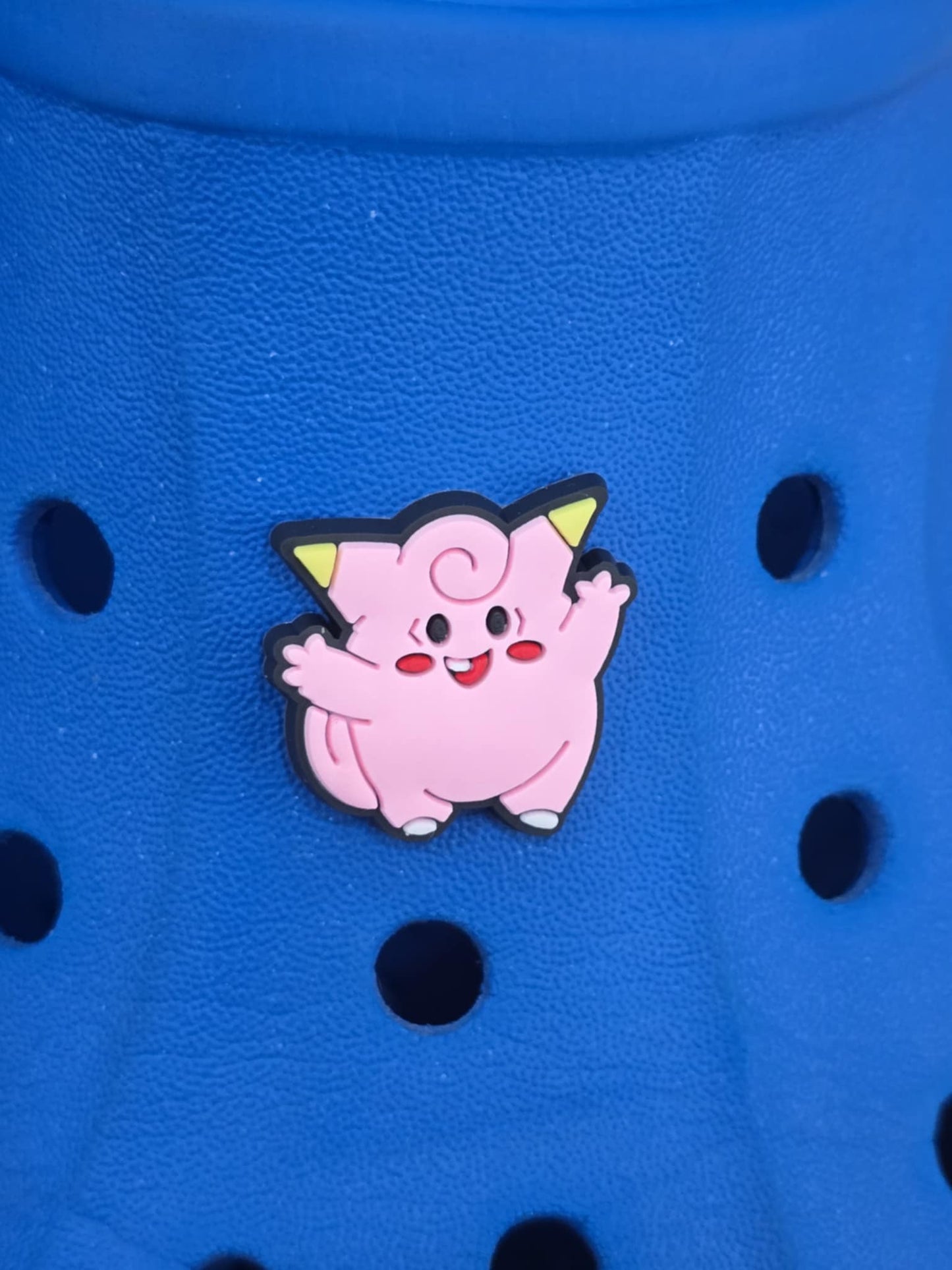 Pokémon Croc Charms