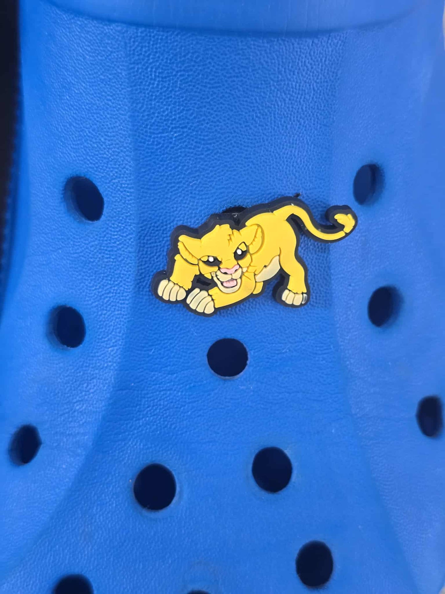 Lion King Themed Croc Charms