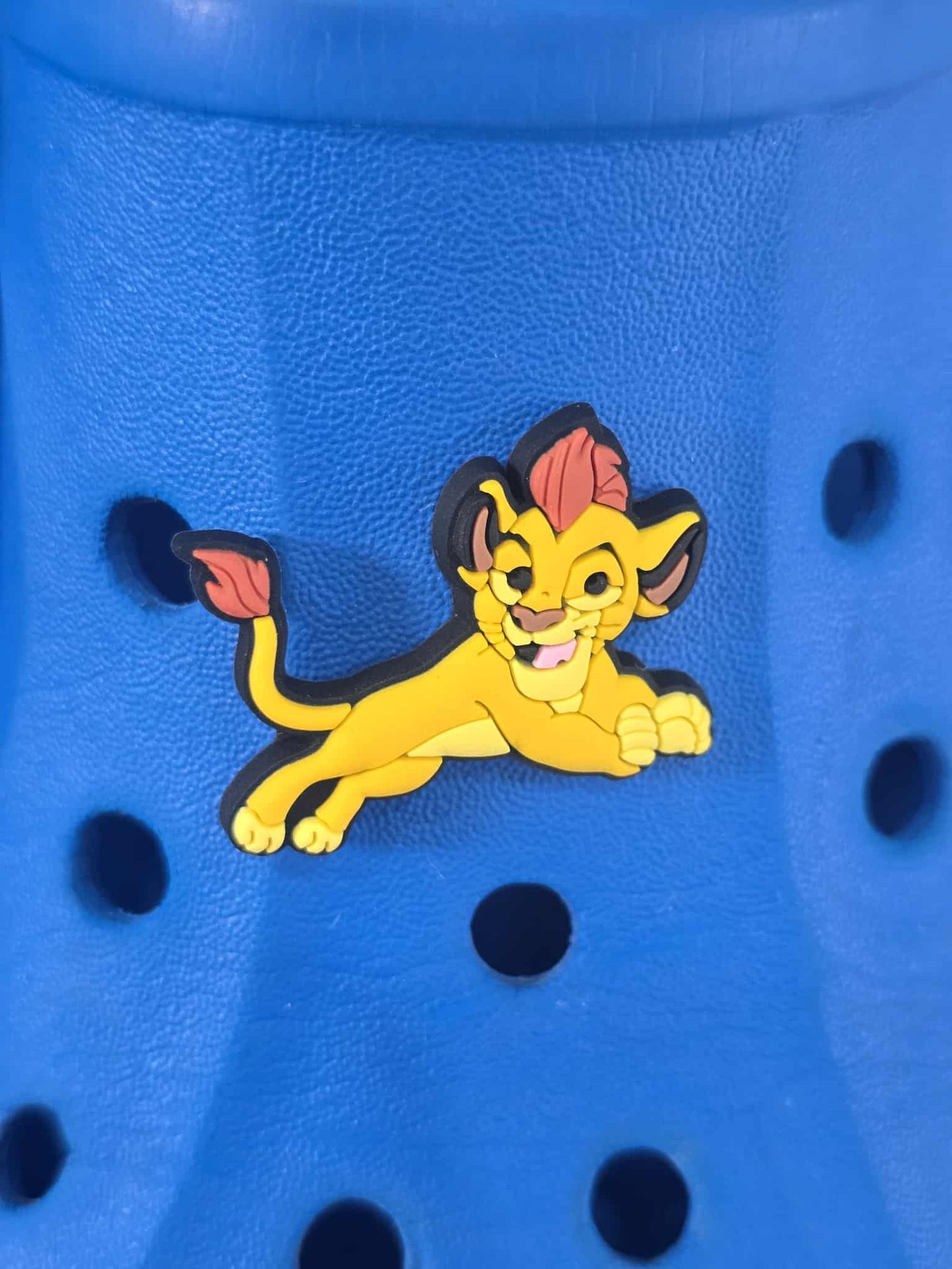 Lion King Themed Croc Charms