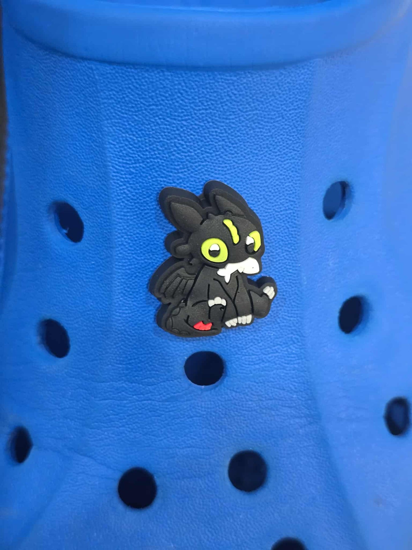 How to Train Your Dragon Croc Charms