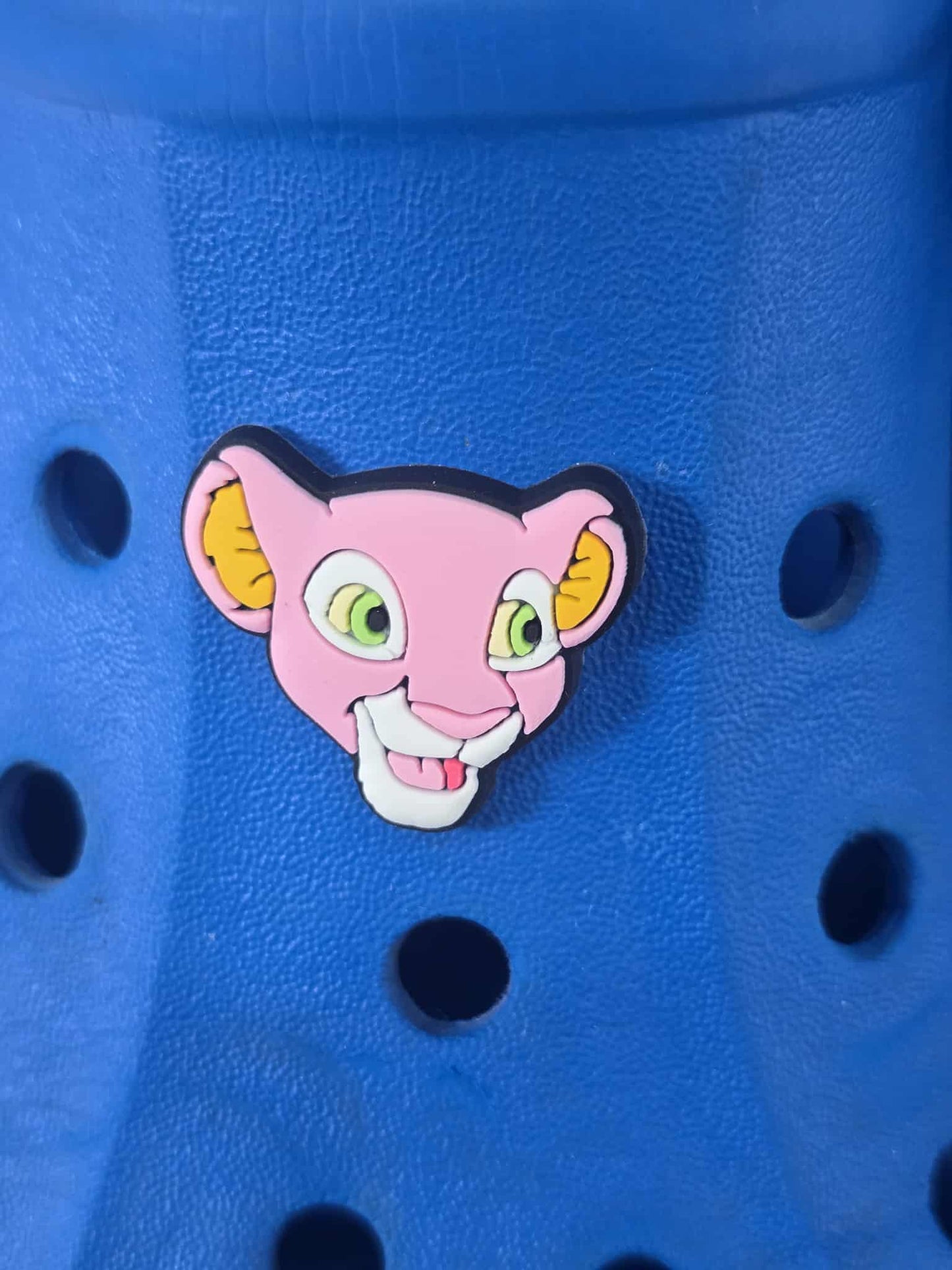 Lion King Themed Croc Charms