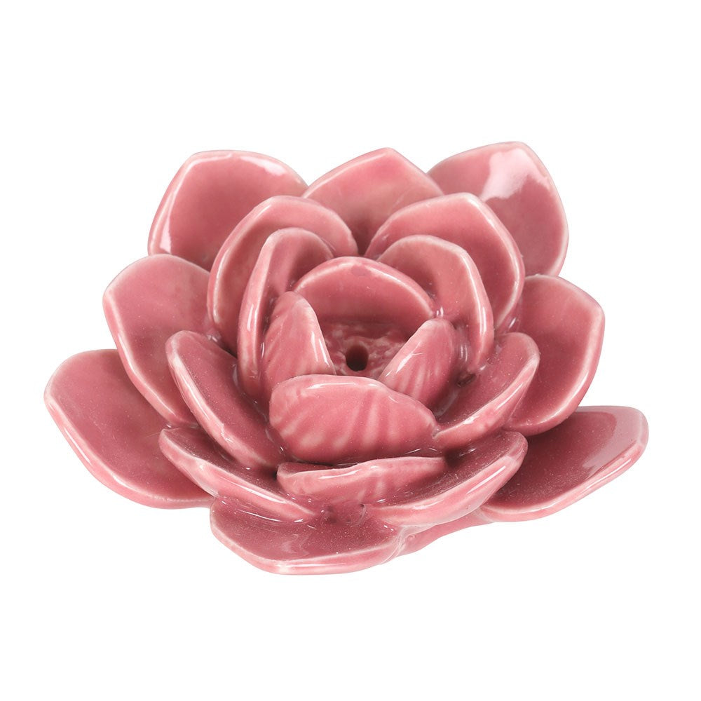 Pink ceramic lotus flower on a white background