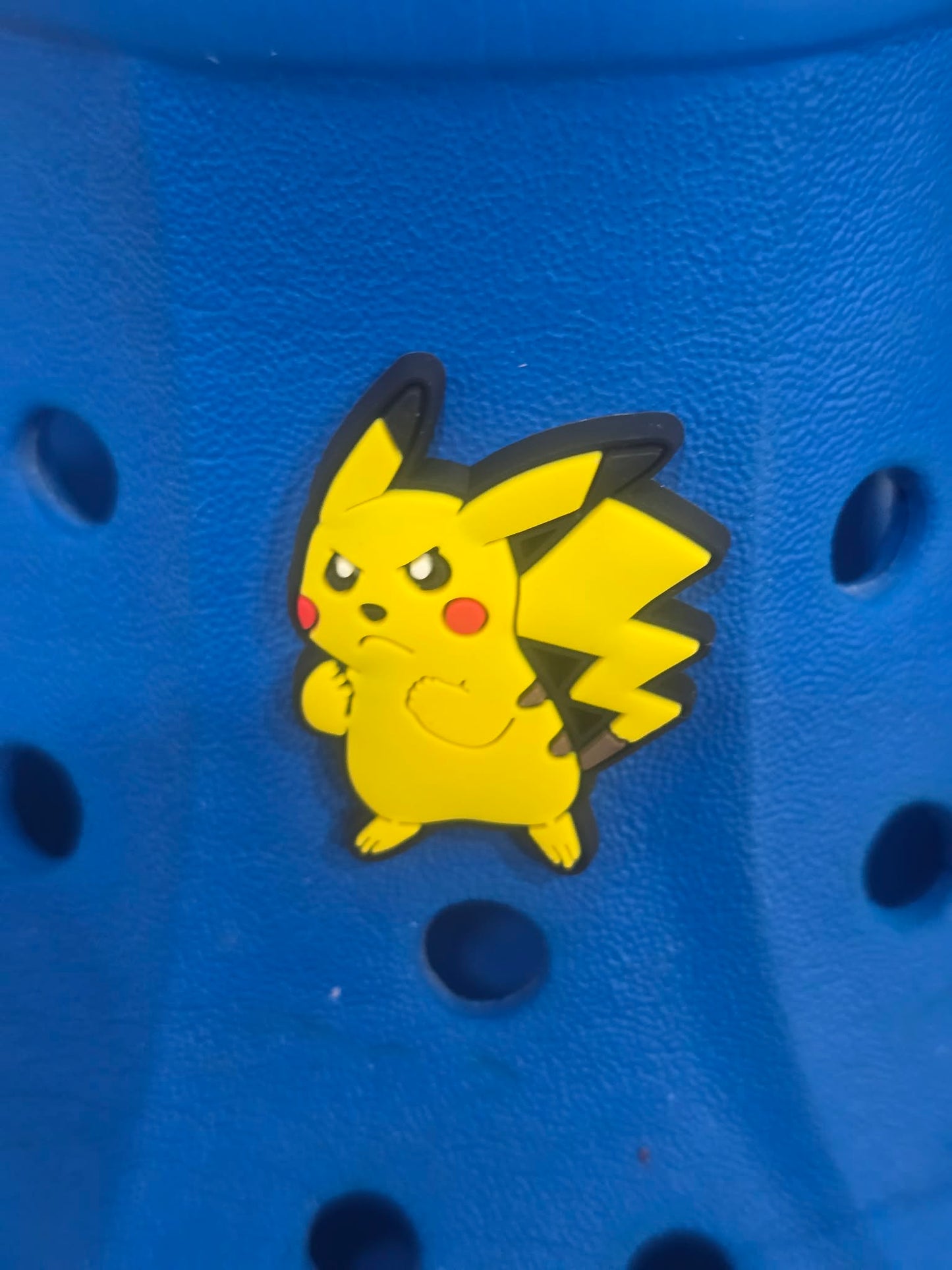 Pokémon Croc Charms