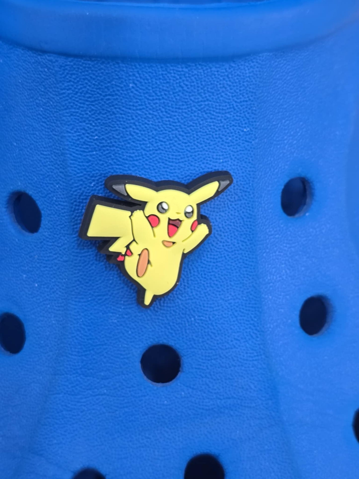 Pokémon Croc Charms