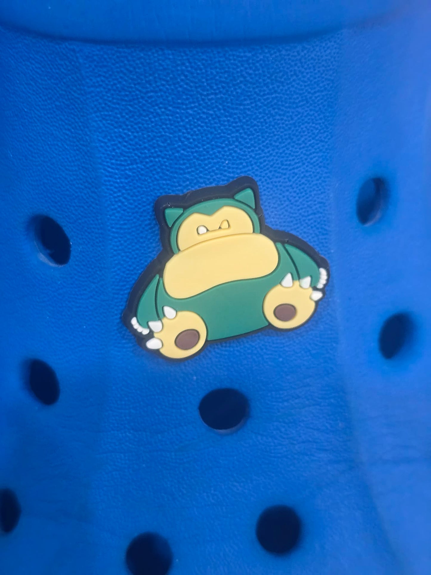 Pokémon Croc Charms