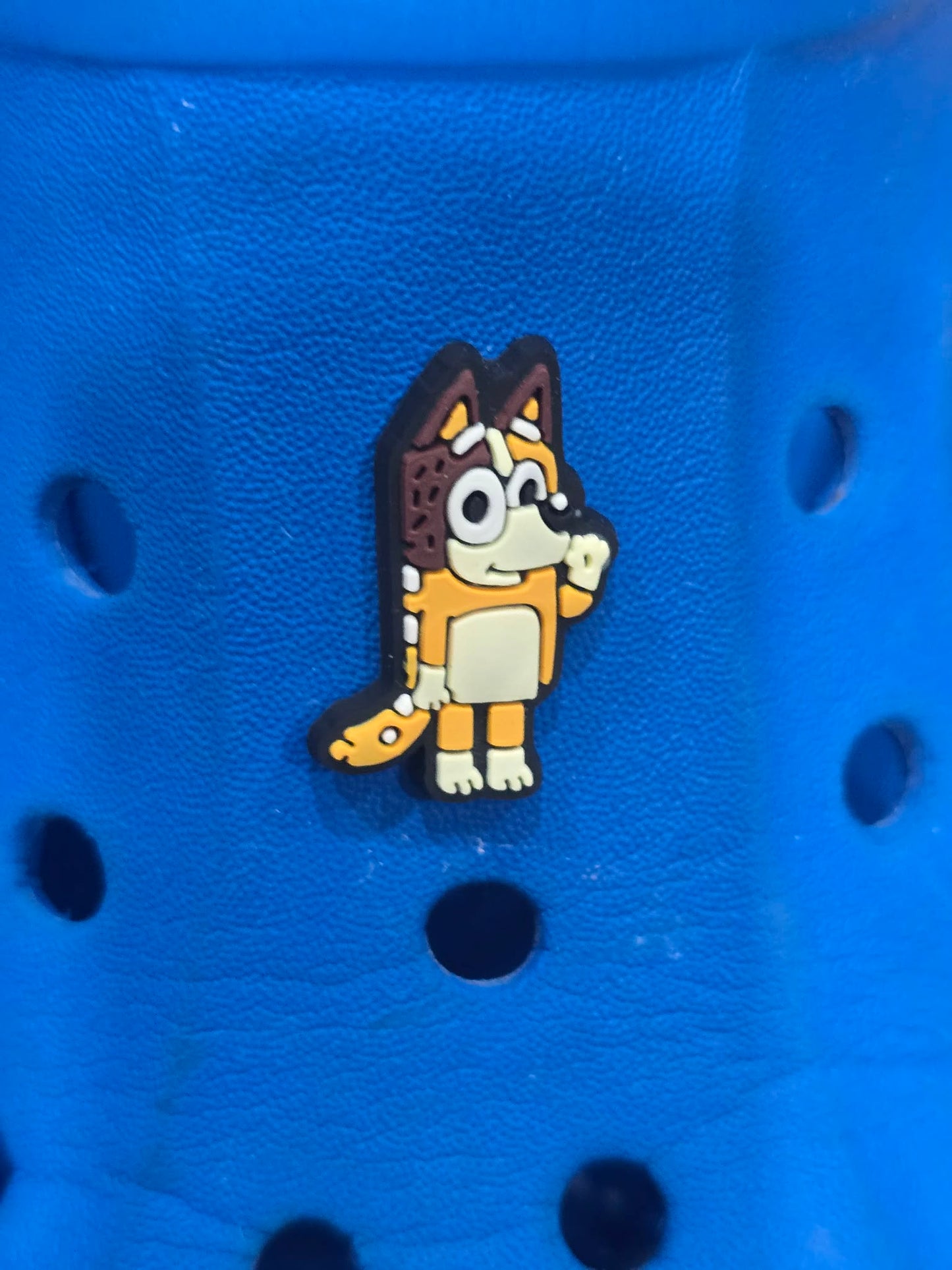 Bluey and Friends Charms