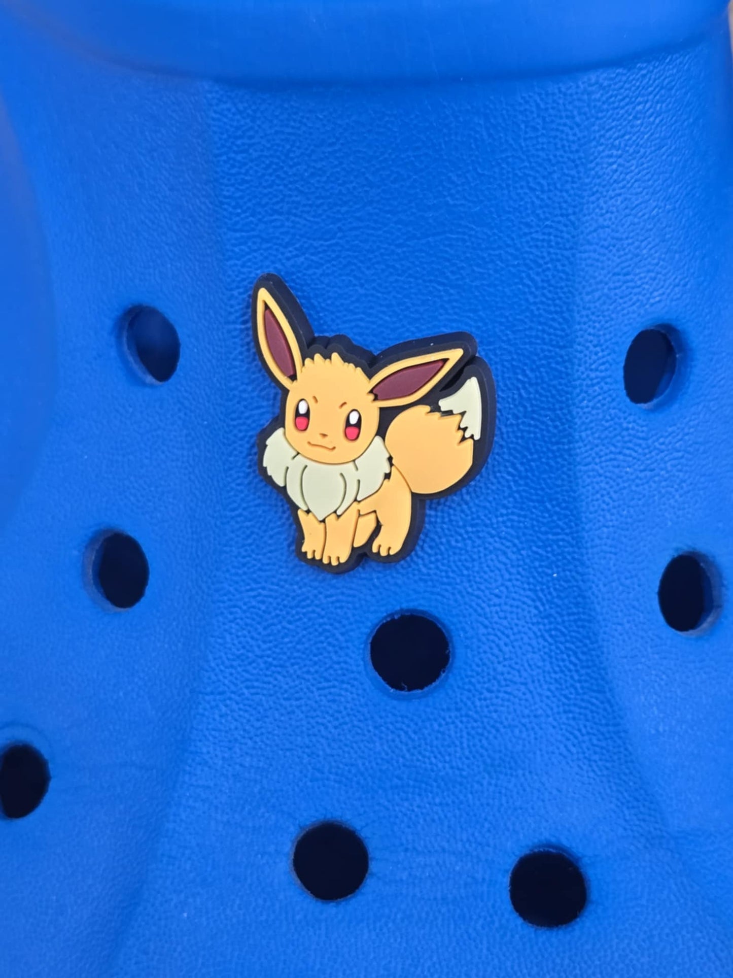 Pokémon Croc Charms