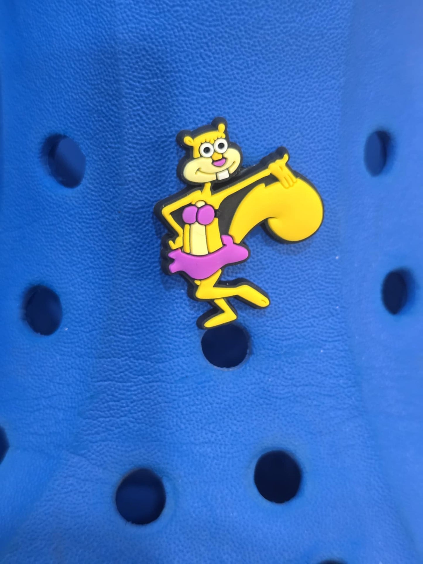Spongebob Square Pants & Friends Croc Charms
