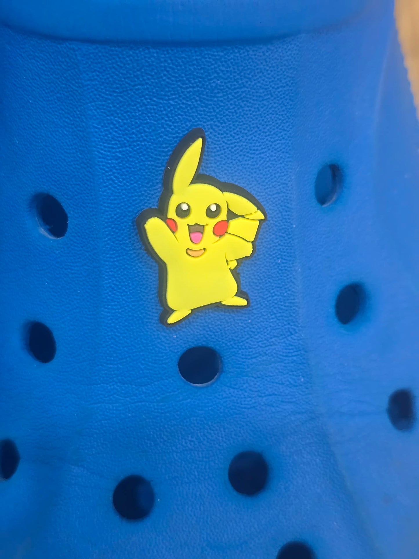 Pokémon Croc Charms