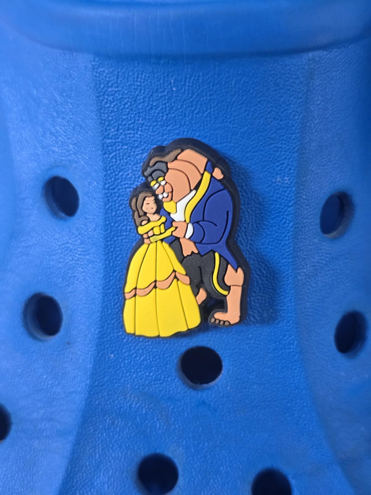 Disney Princess Charms