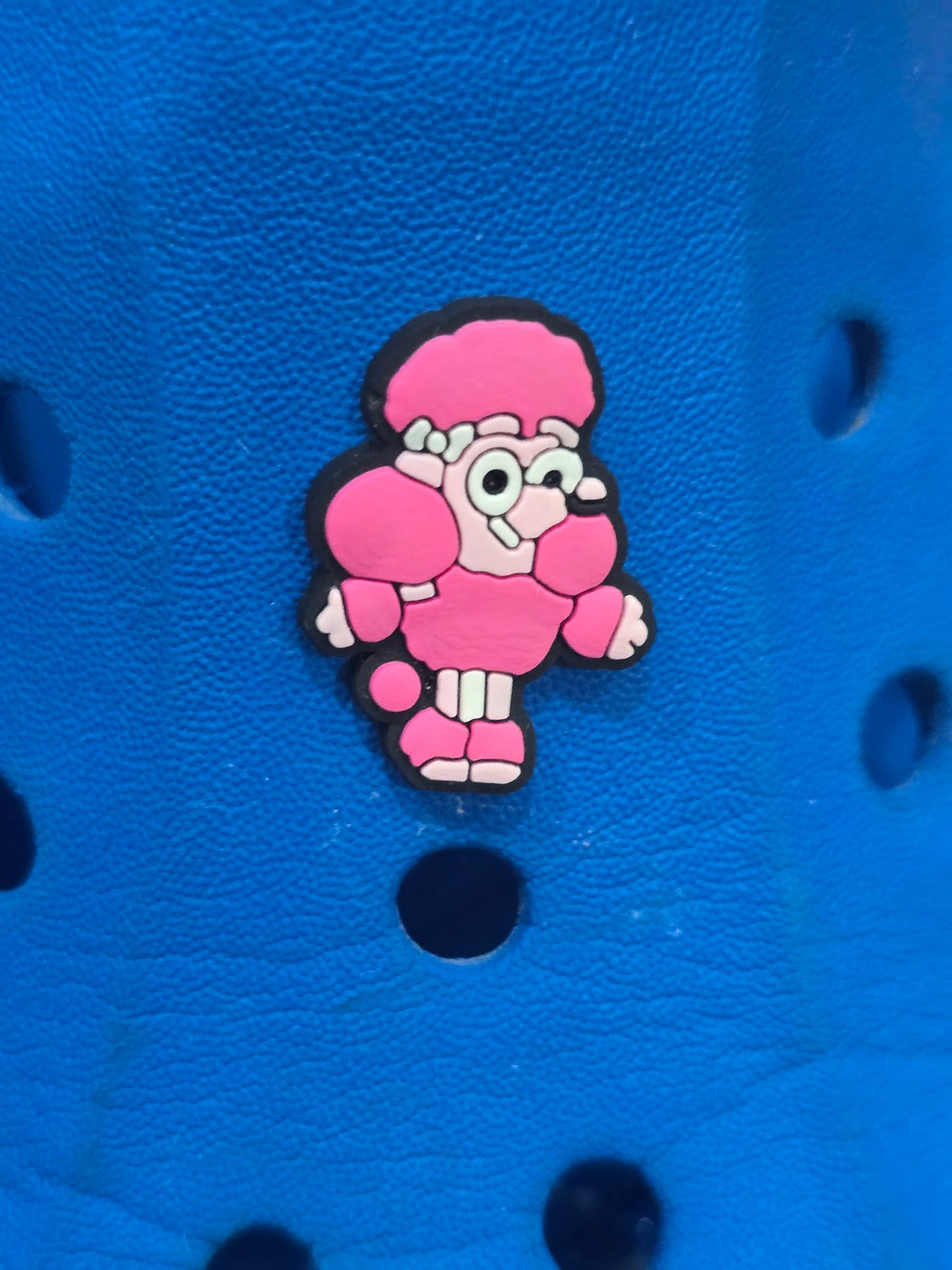Bluey and Friends Charms