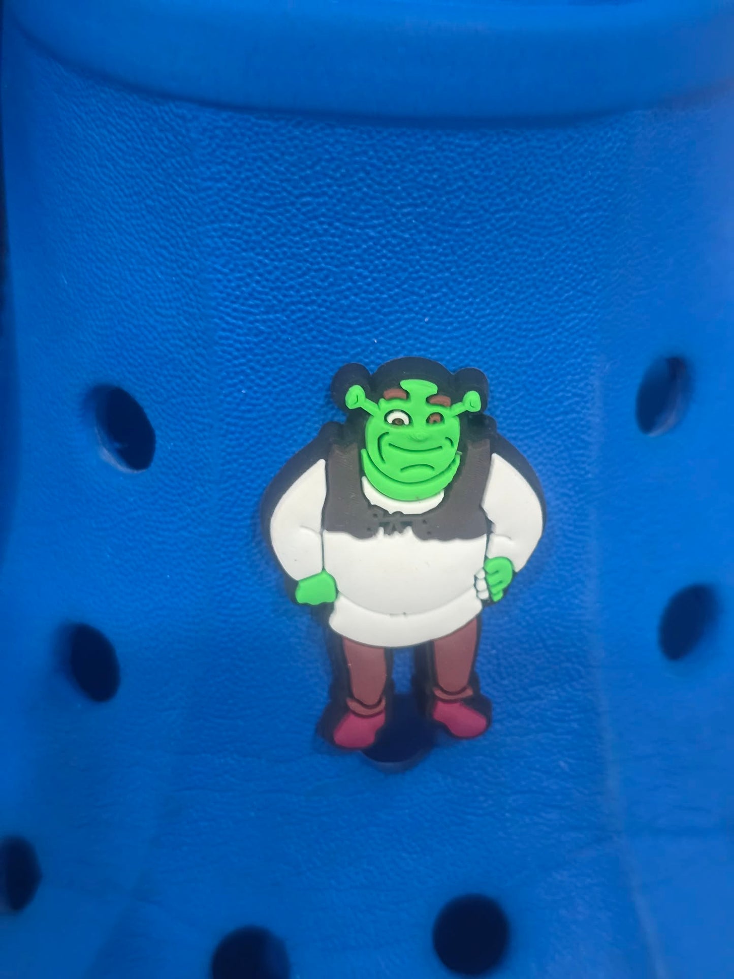 Shrek Themed Croc Charms