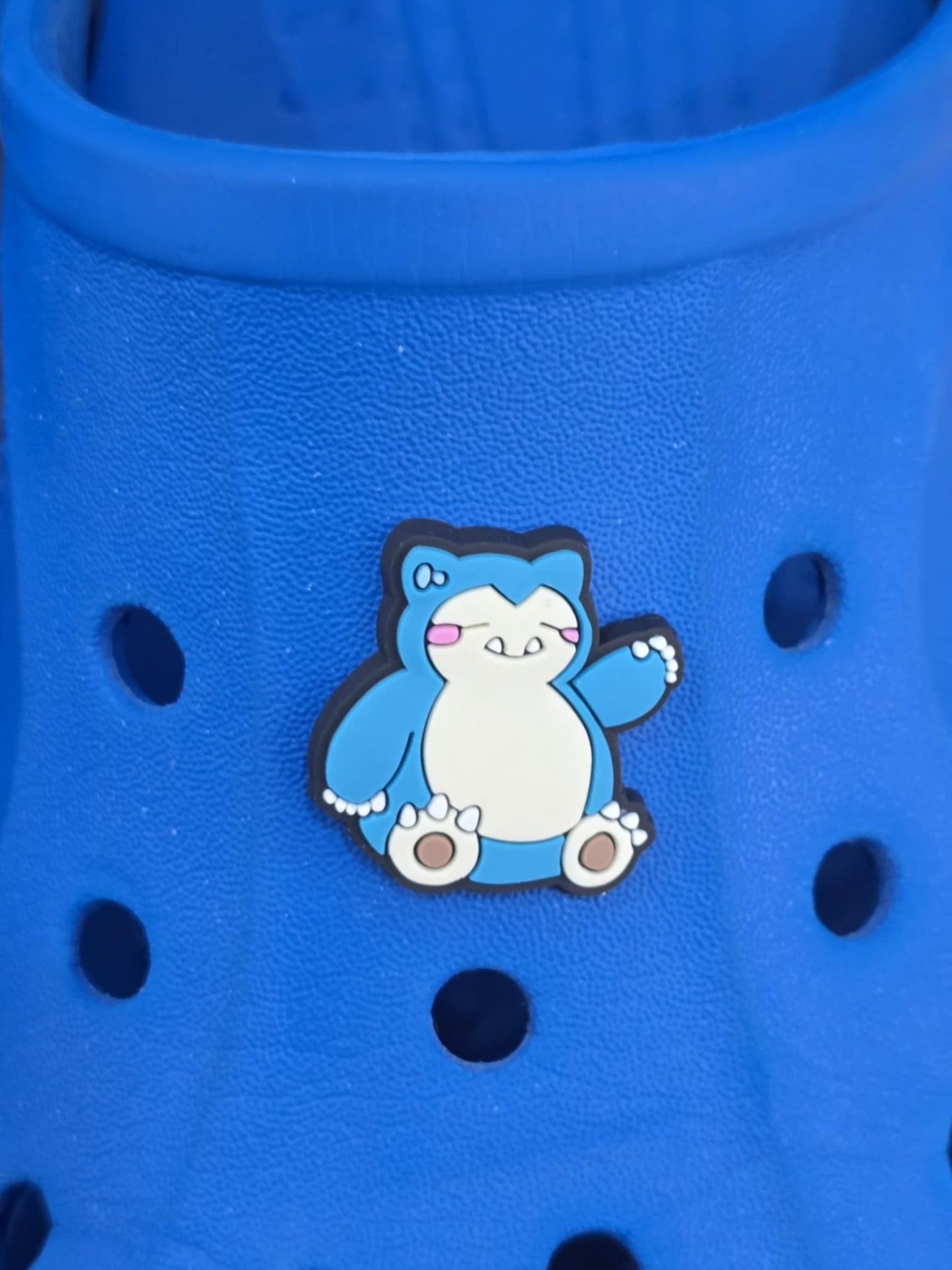 Pokémon Croc Charms