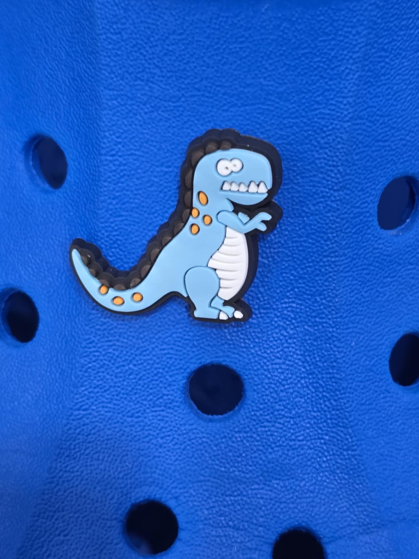 Dinosaurs Charms