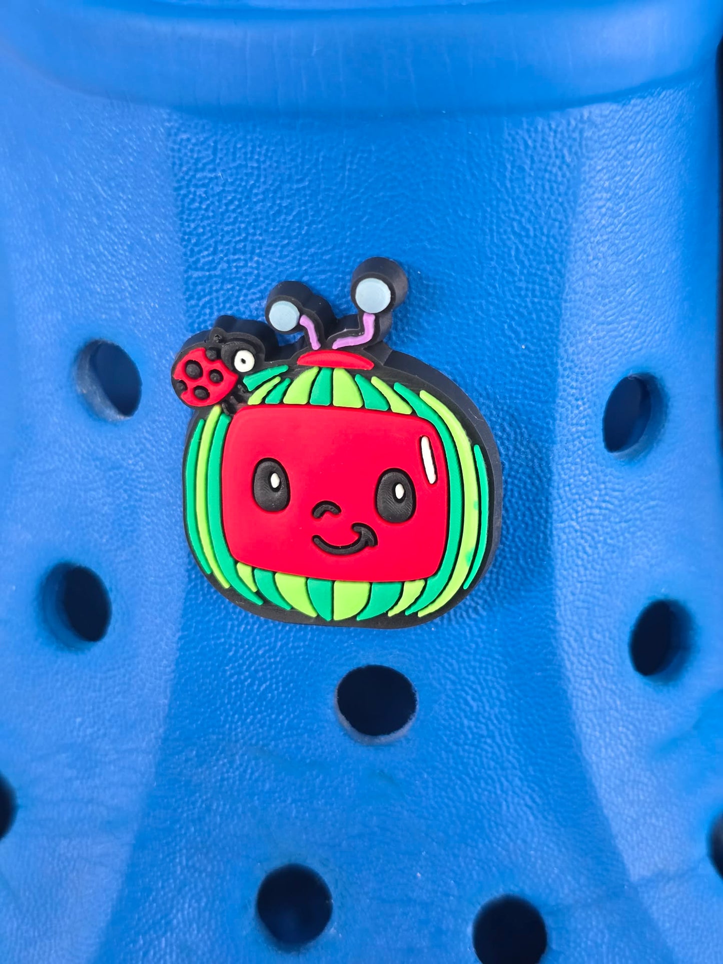 Kids TV Characters Croc Charms