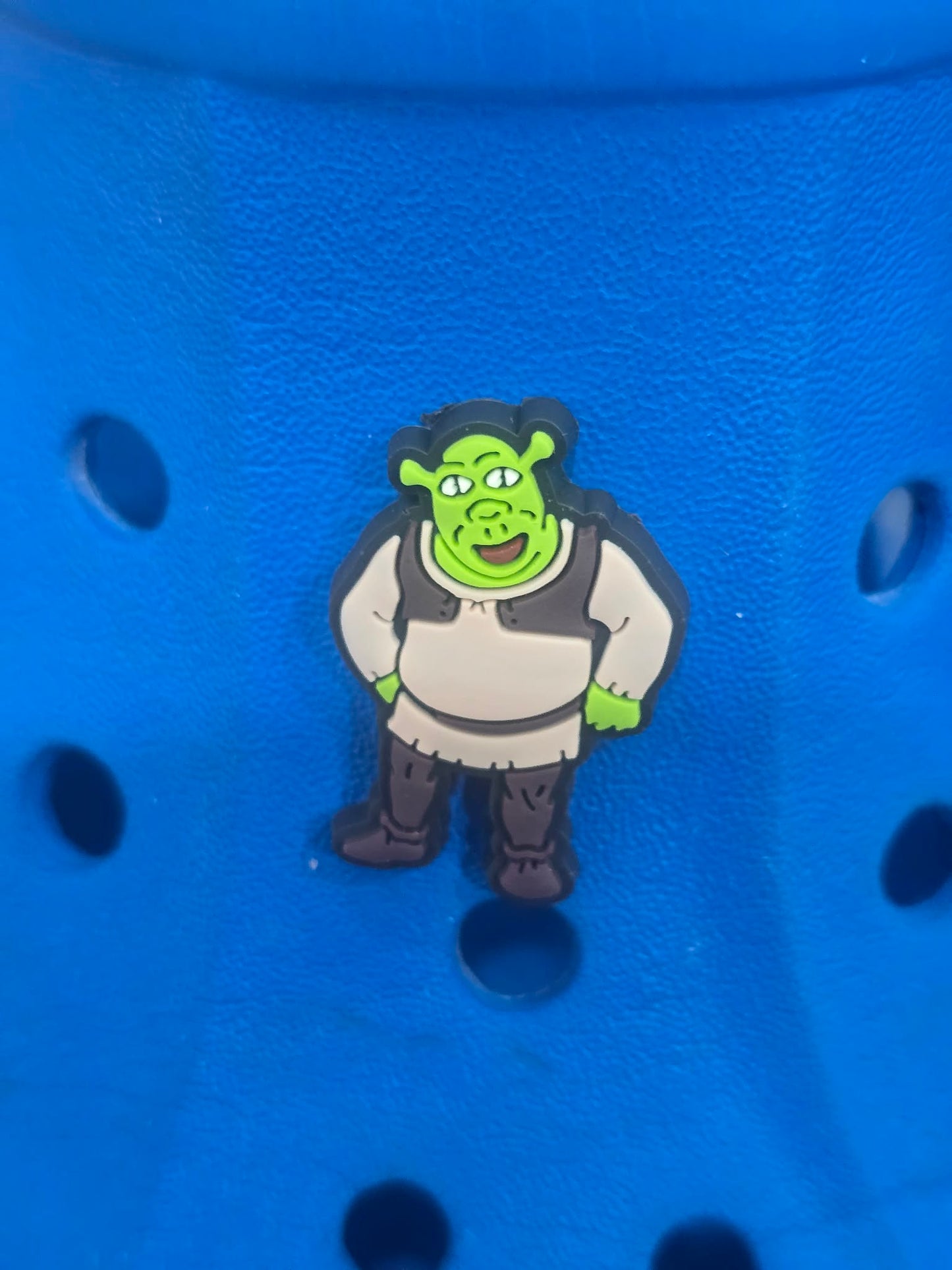 Shrek Themed Croc Charms