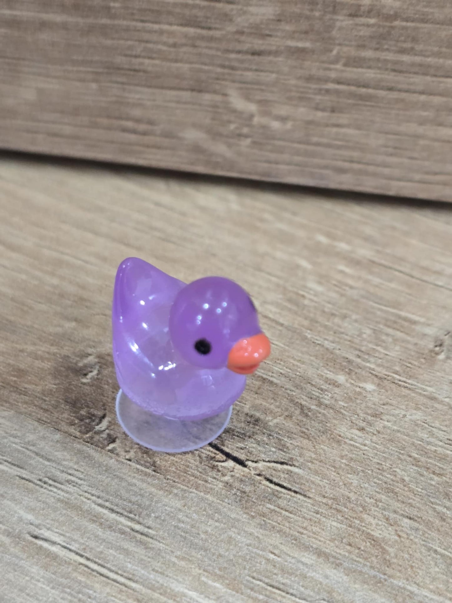 Rubber Duck Charms