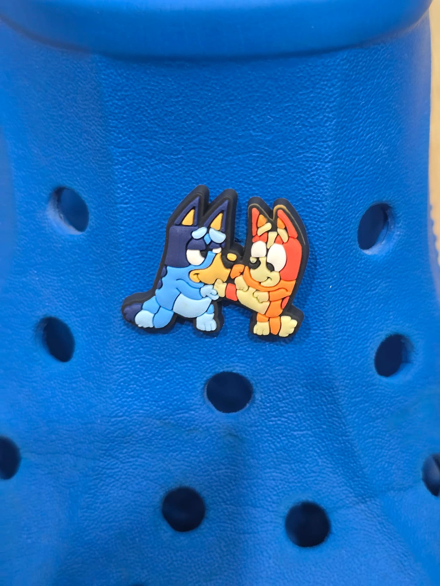 Bluey and Friends Charms