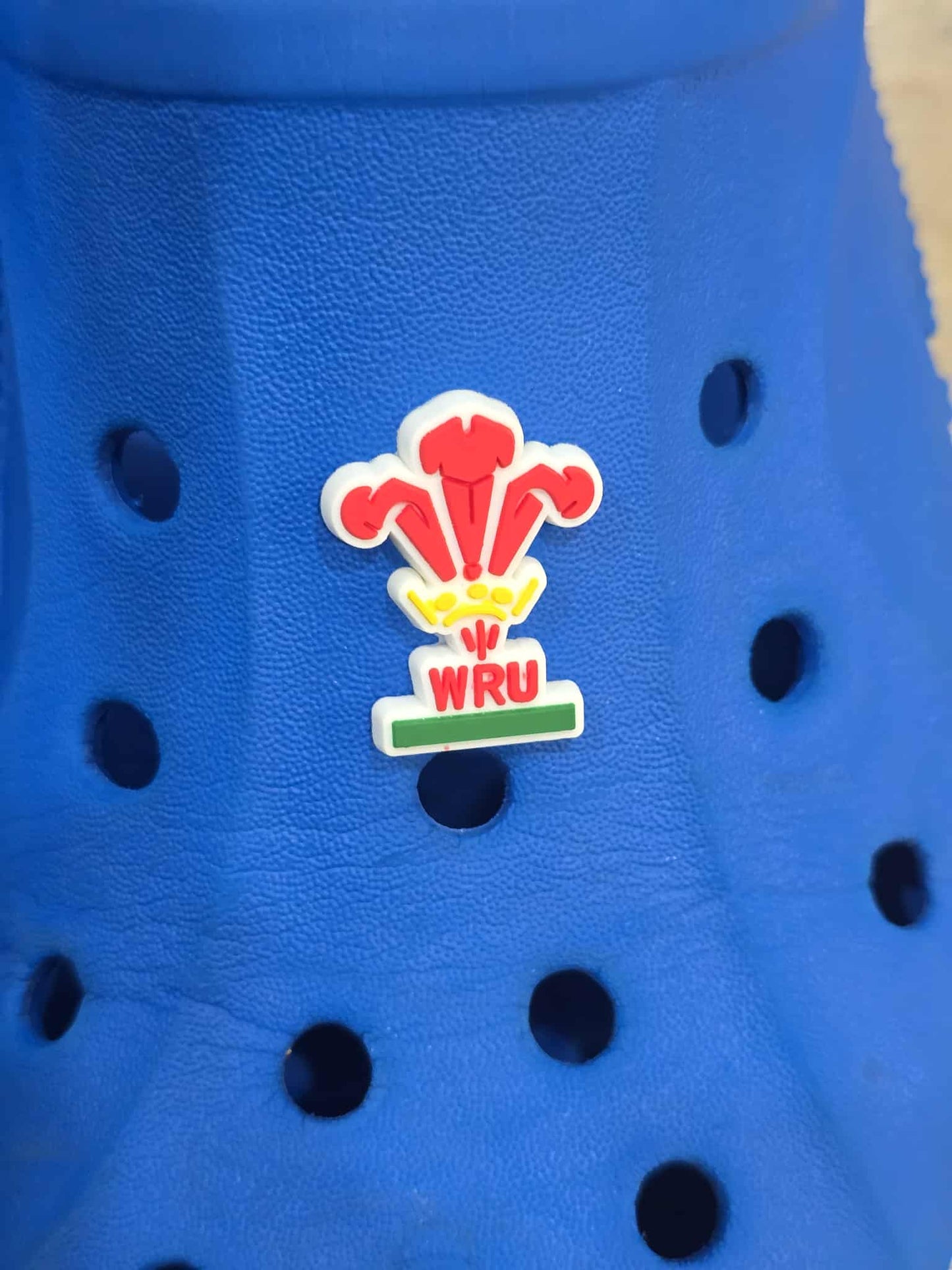 Rugby Team Croc Charms