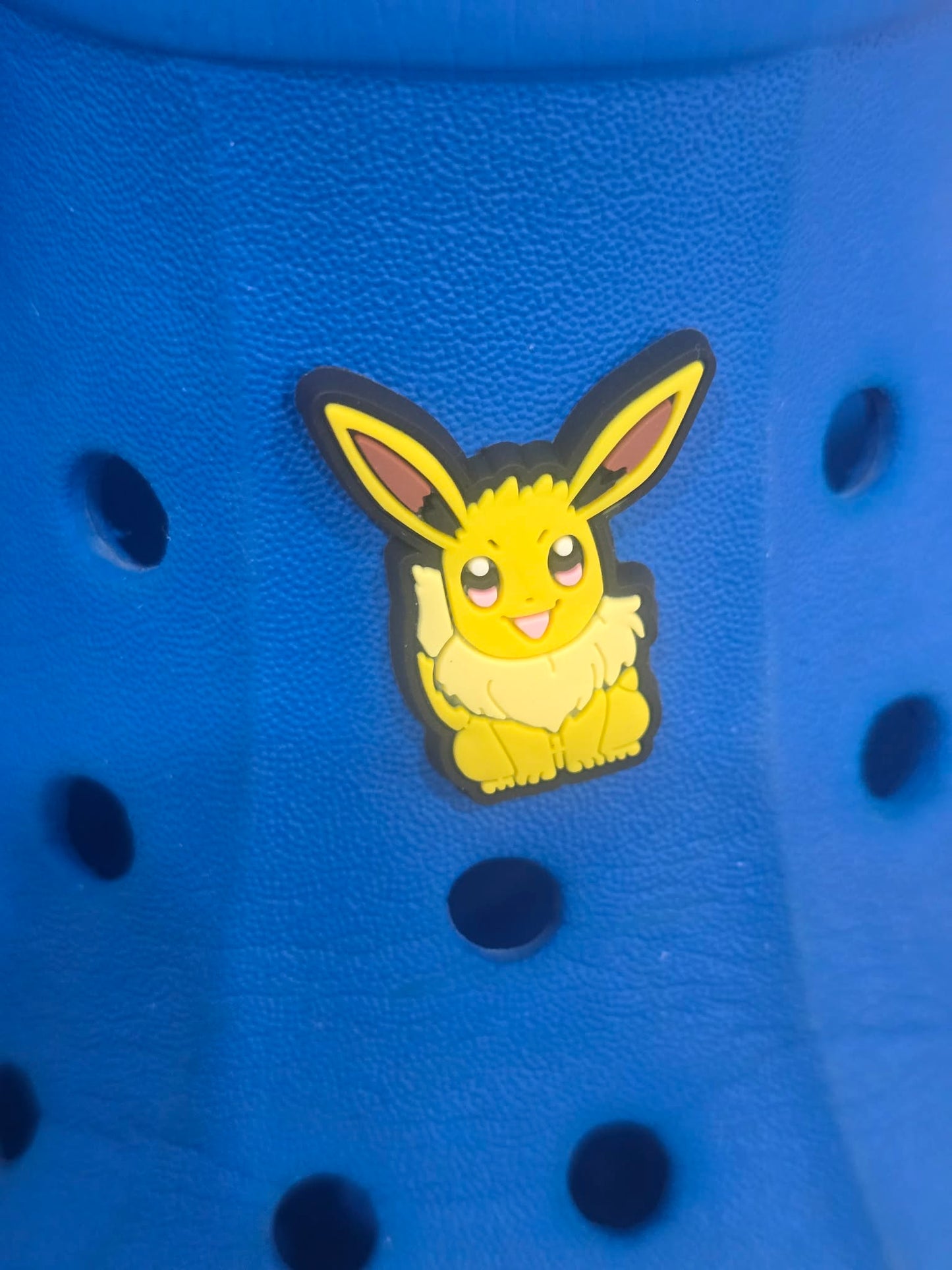 Pokémon Croc Charms