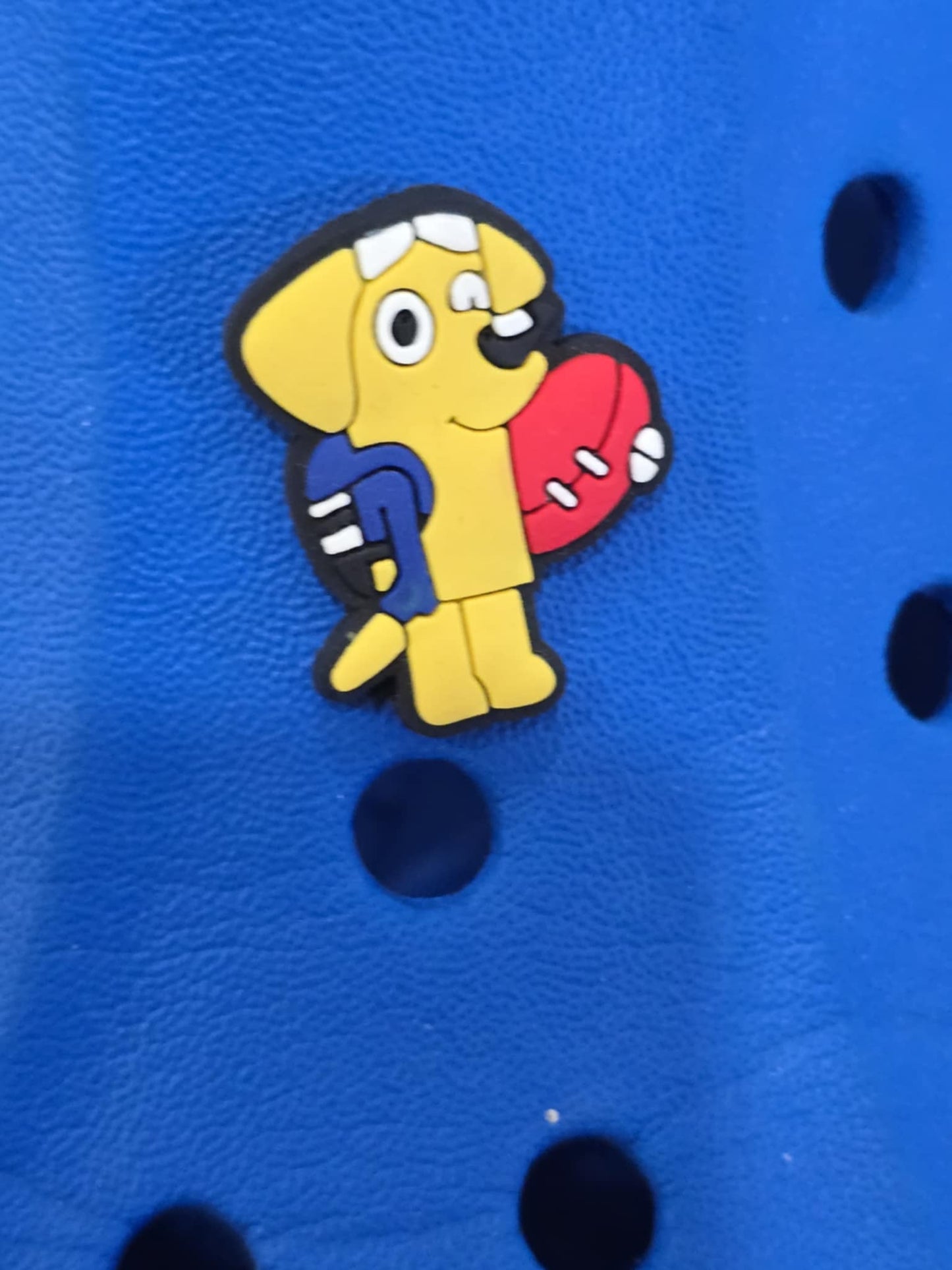 Bluey and Friends Charms