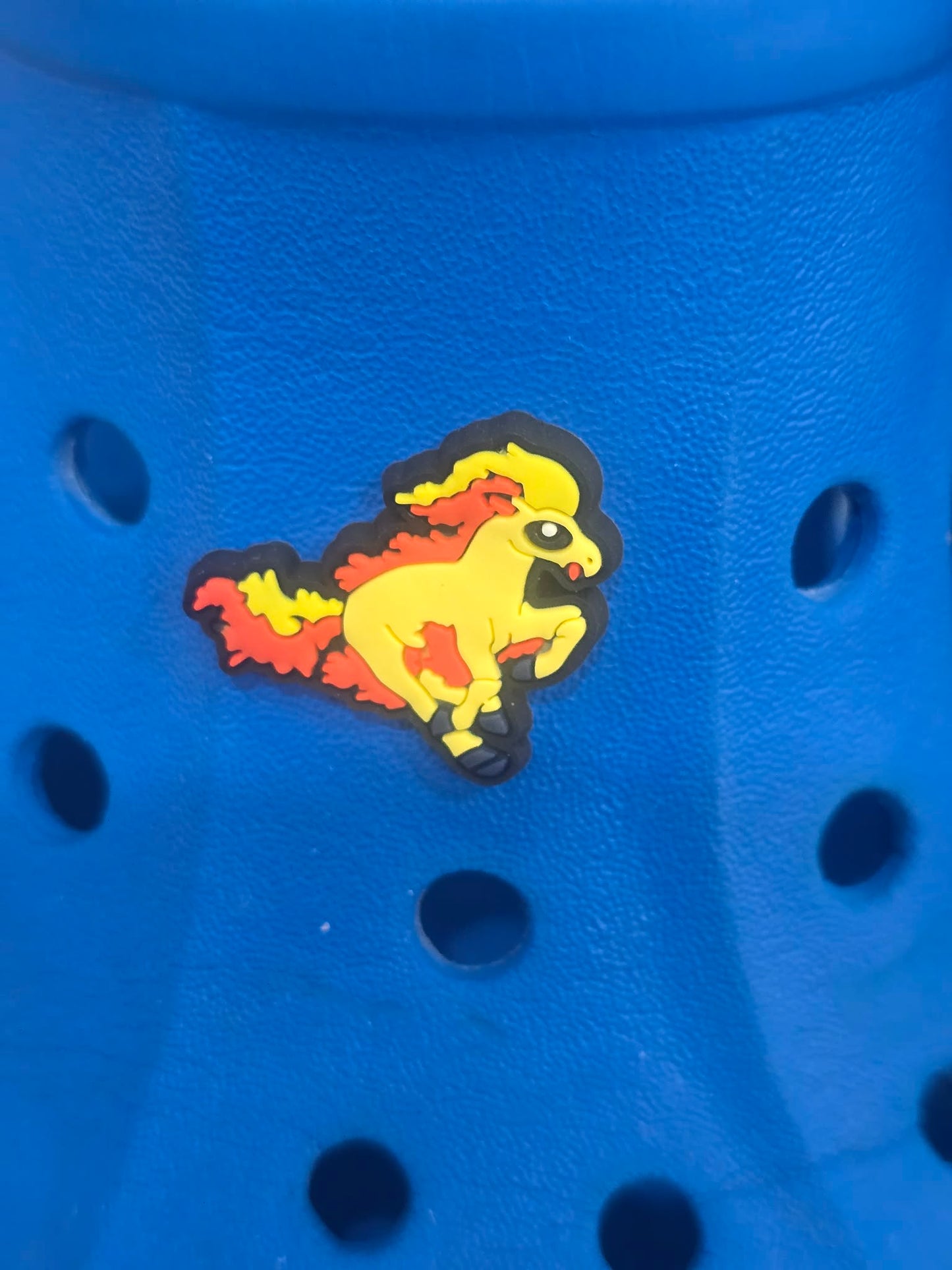 Pokémon Croc Charms
