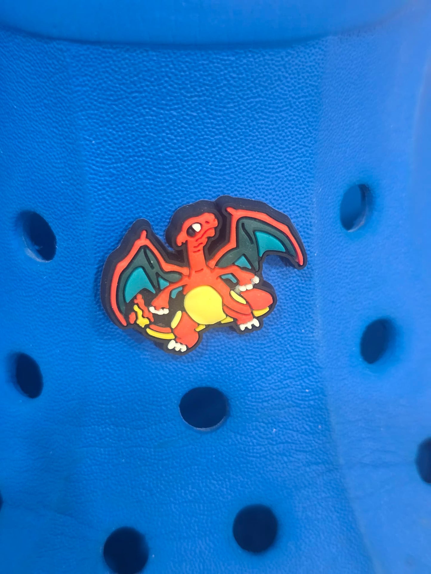 Pokémon Croc Charms