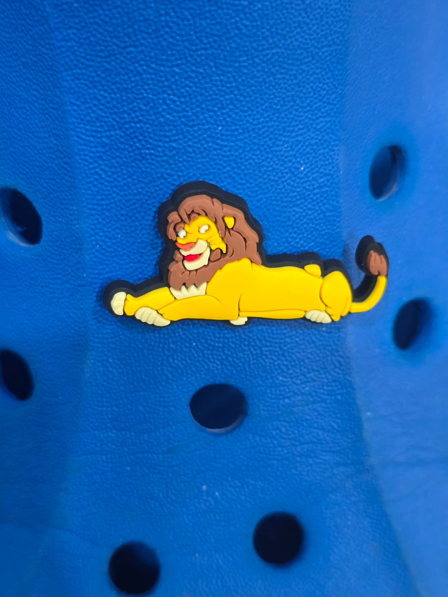 Lion King Themed Croc Charms