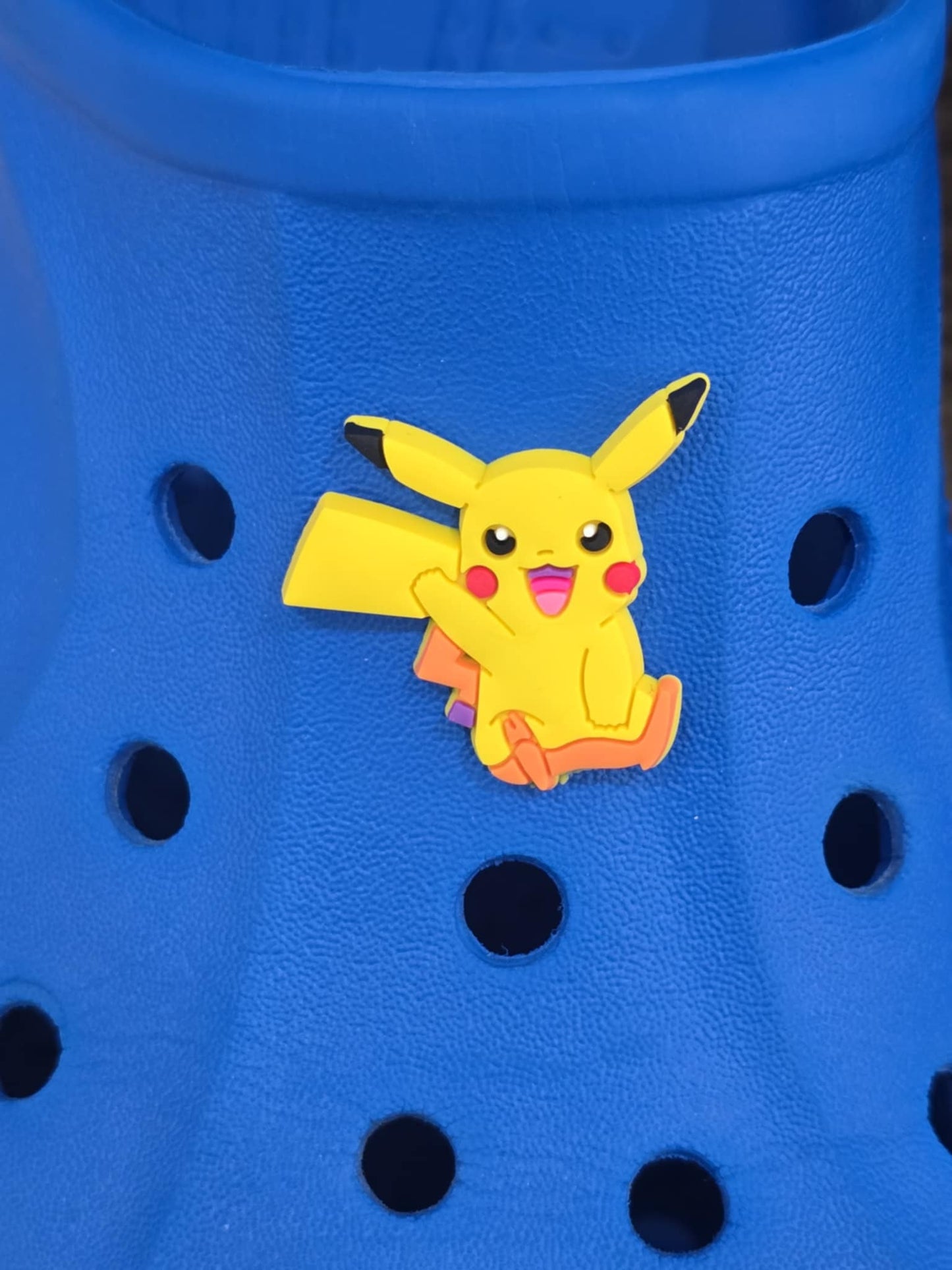 Pokémon Croc Charms