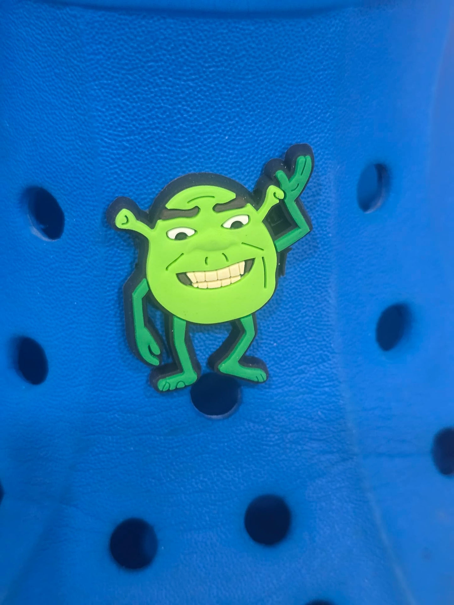 Shrek Themed Croc Charms