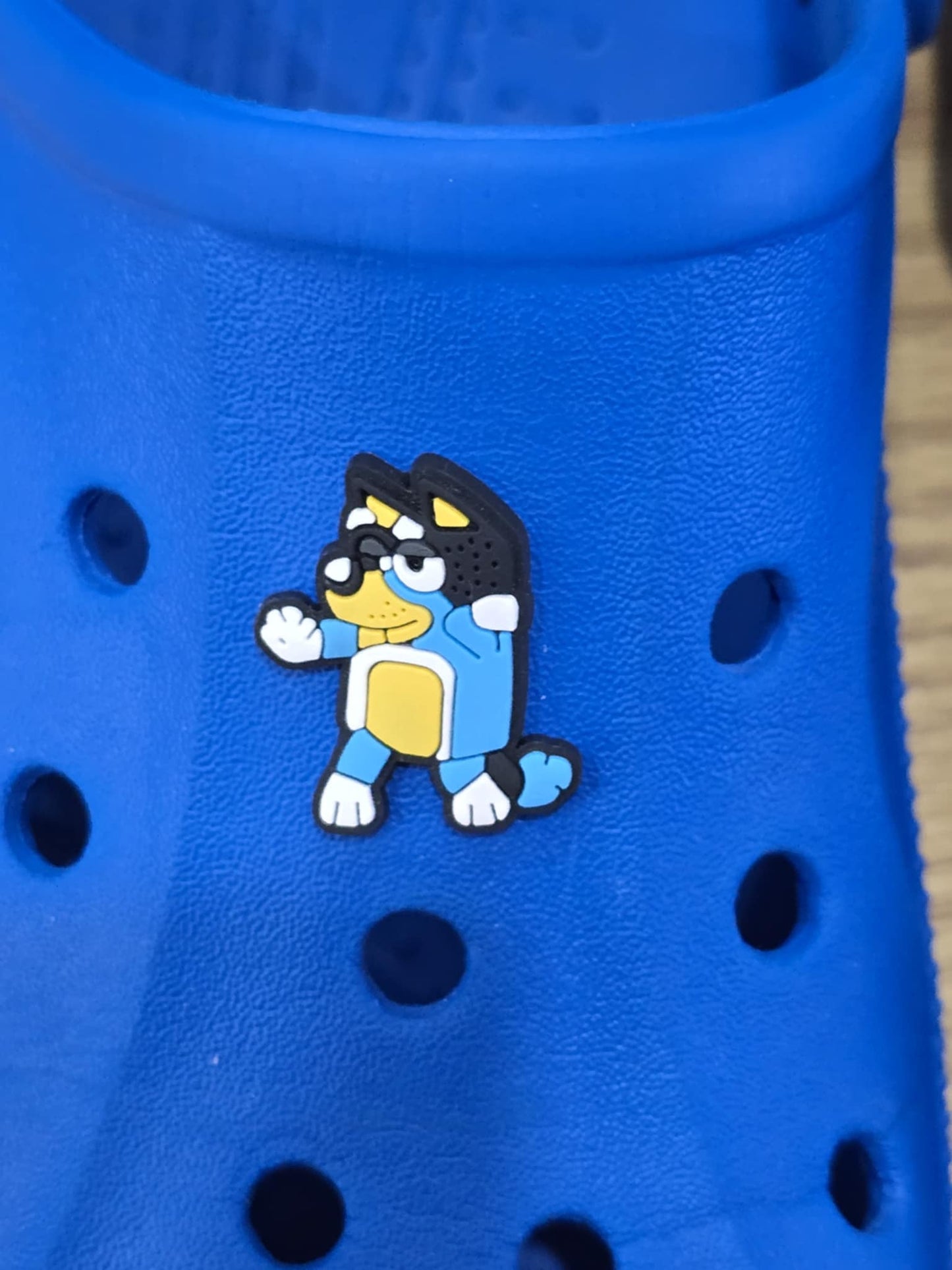 Bluey and Friends Charms