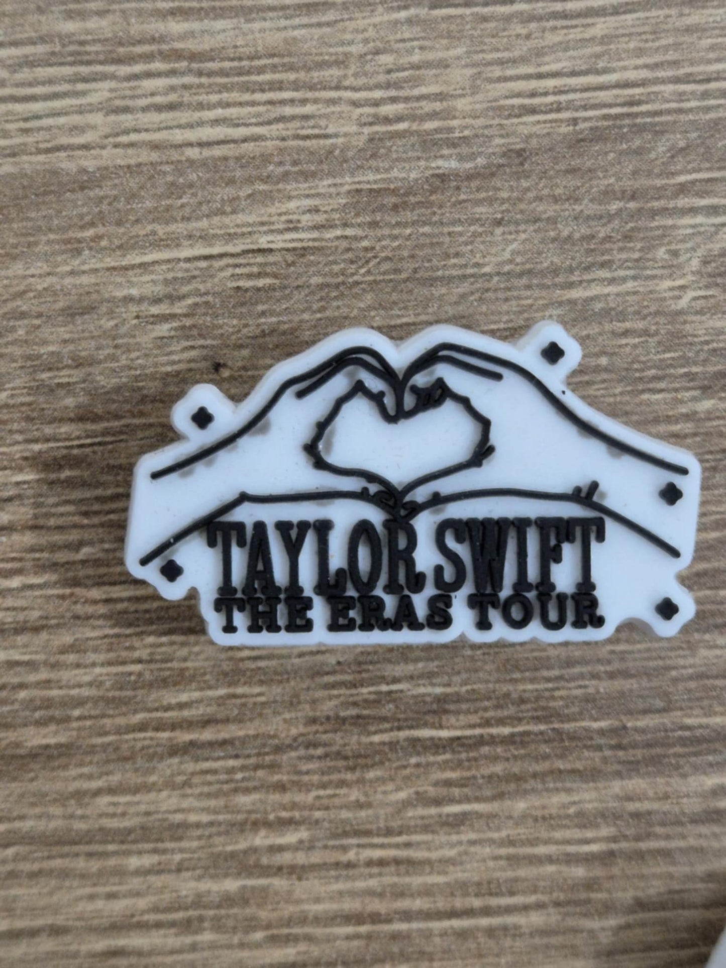 Taylor Swift Charms