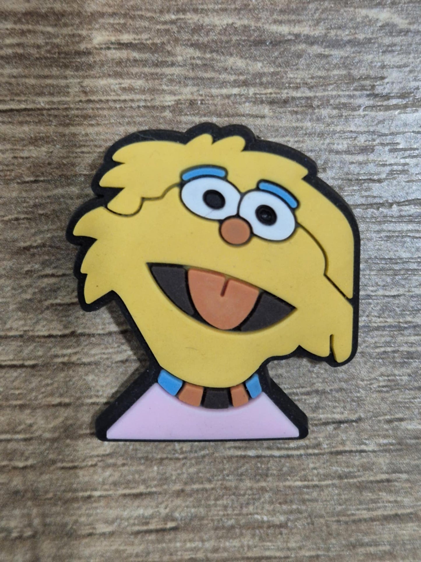 Sesame Street Charms