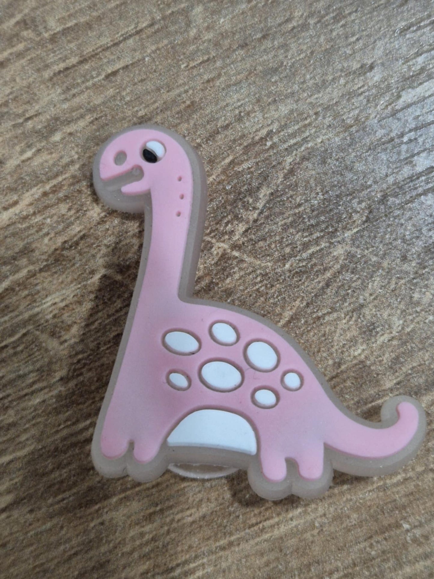 Dinosaurs Charms