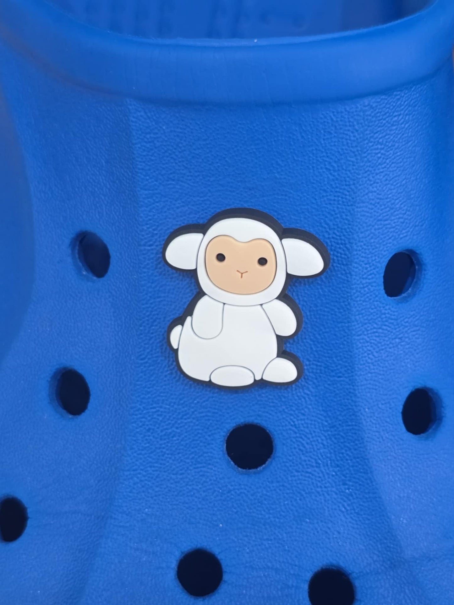 Jelly Croc Charms, Shoe Decorations, Shoe Charms