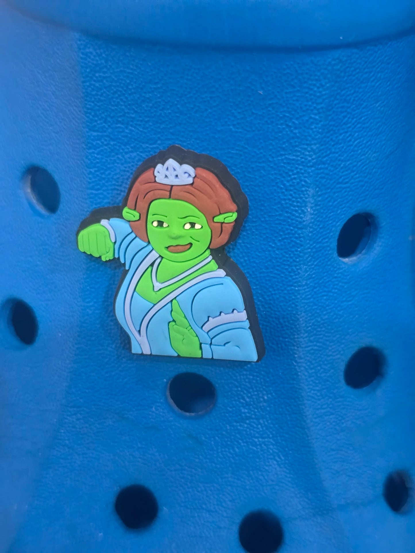 Shrek Themed Croc Charms