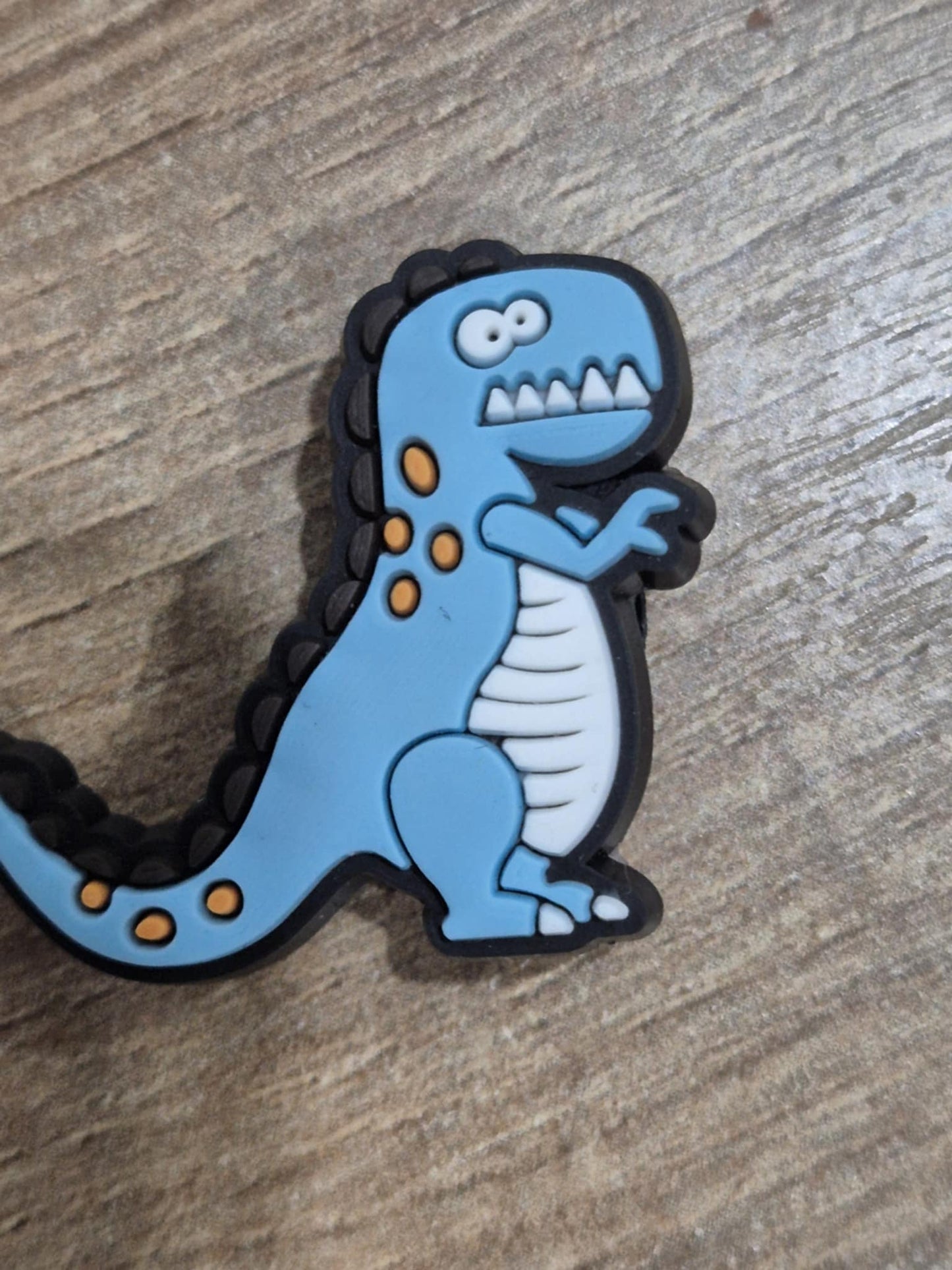 Dinosaurs Charms