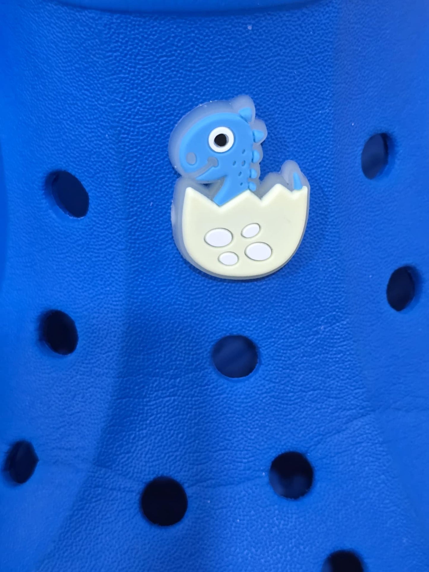 Dinosaurs Charms