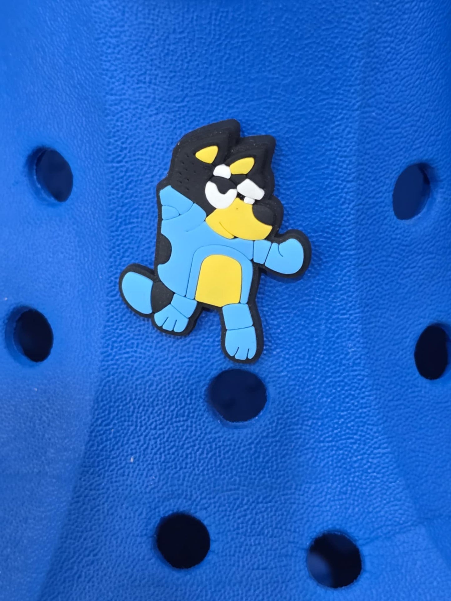 Bluey and Friends Charms