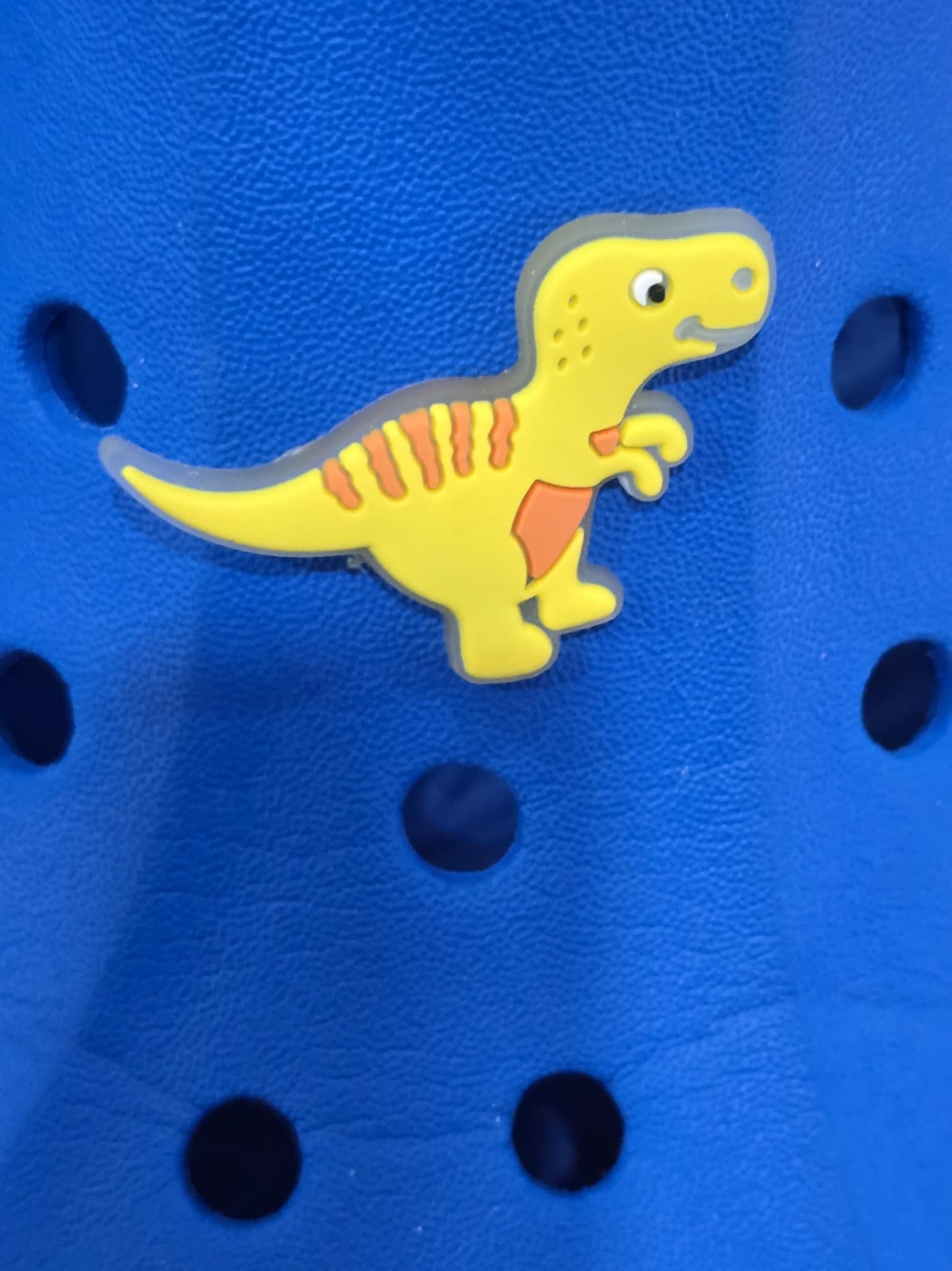 Dinosaurs Charms