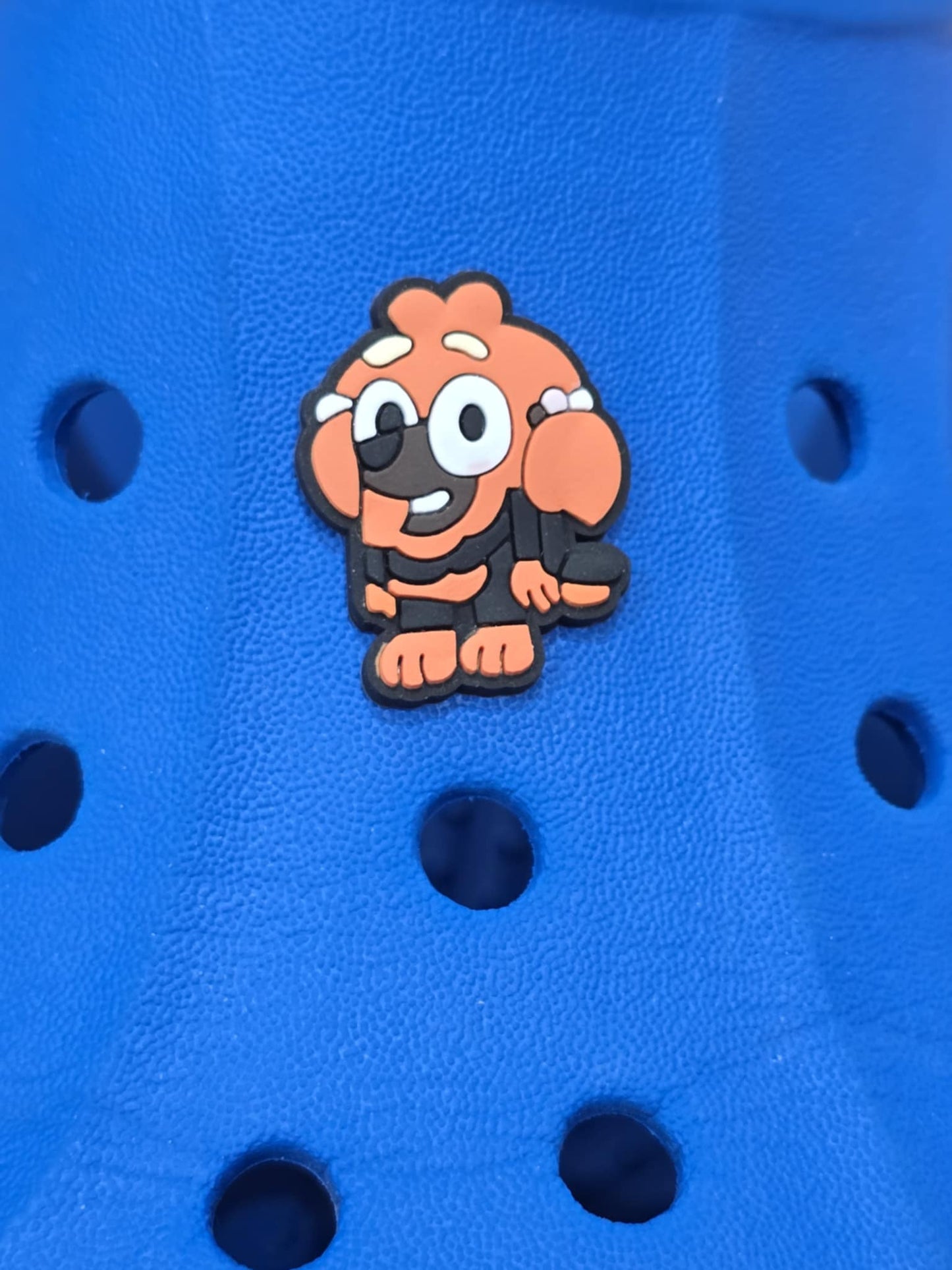 Bluey and Friends Charms
