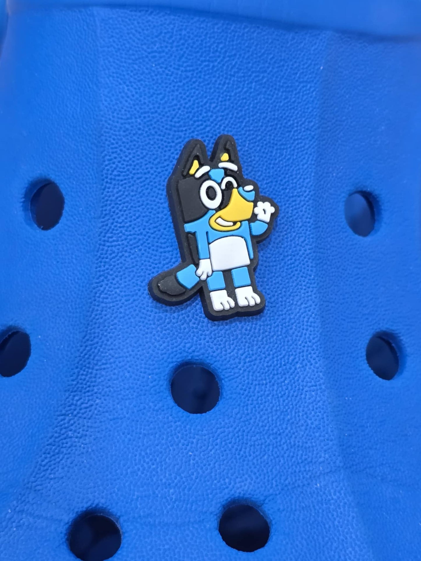 Bluey and Friends Charms