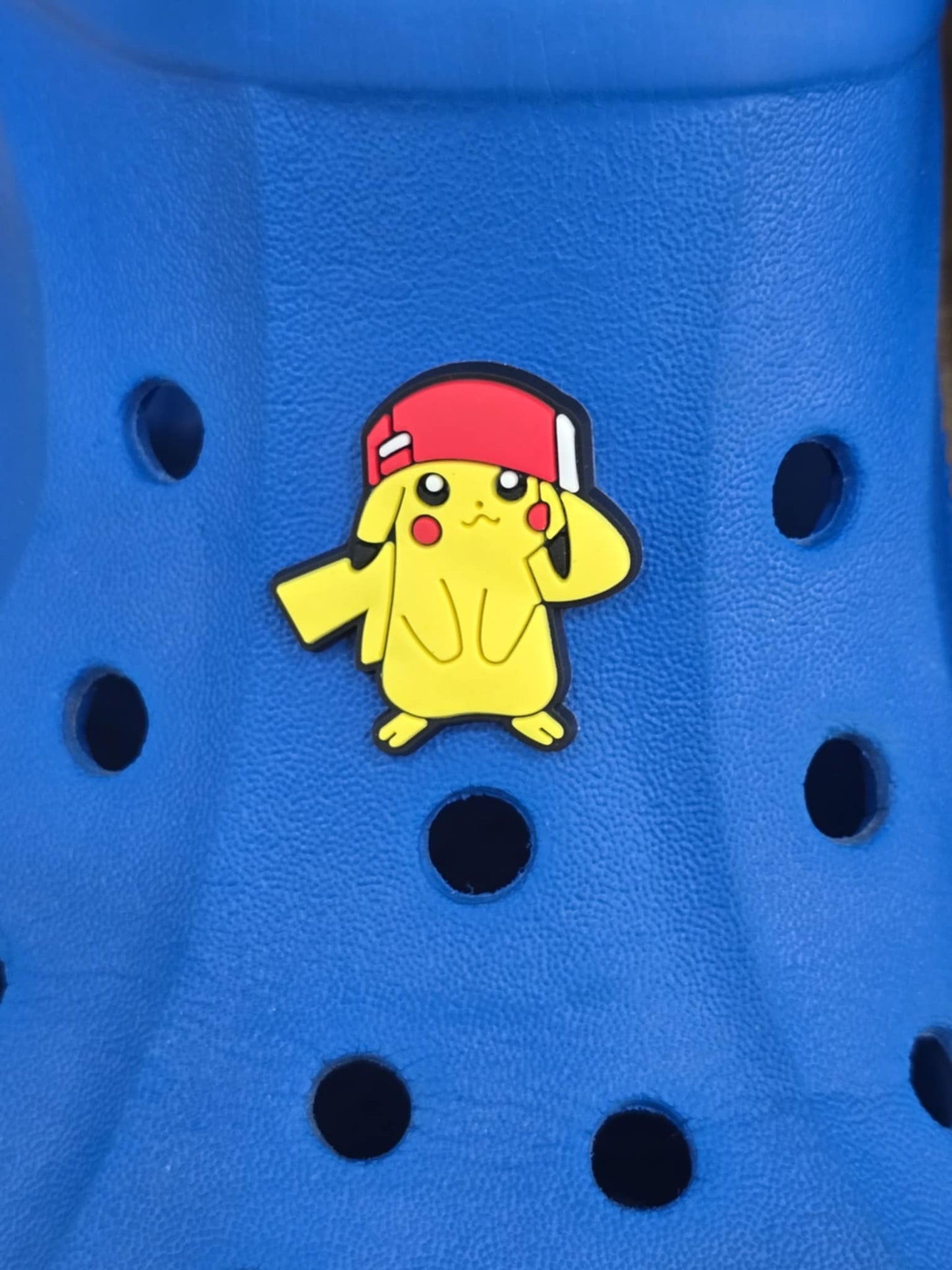 Pokémon Croc Charms