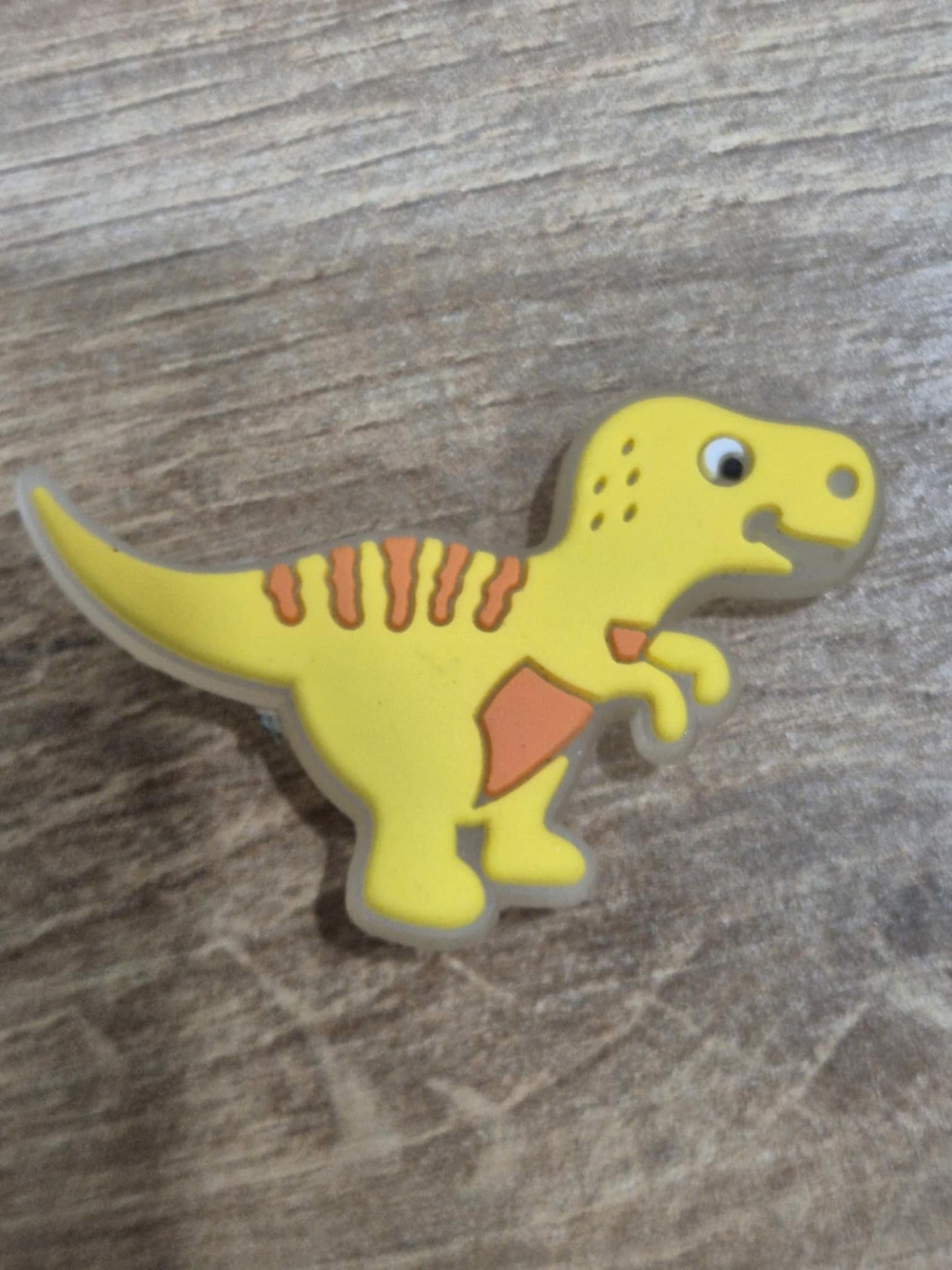 Dinosaurs Charms