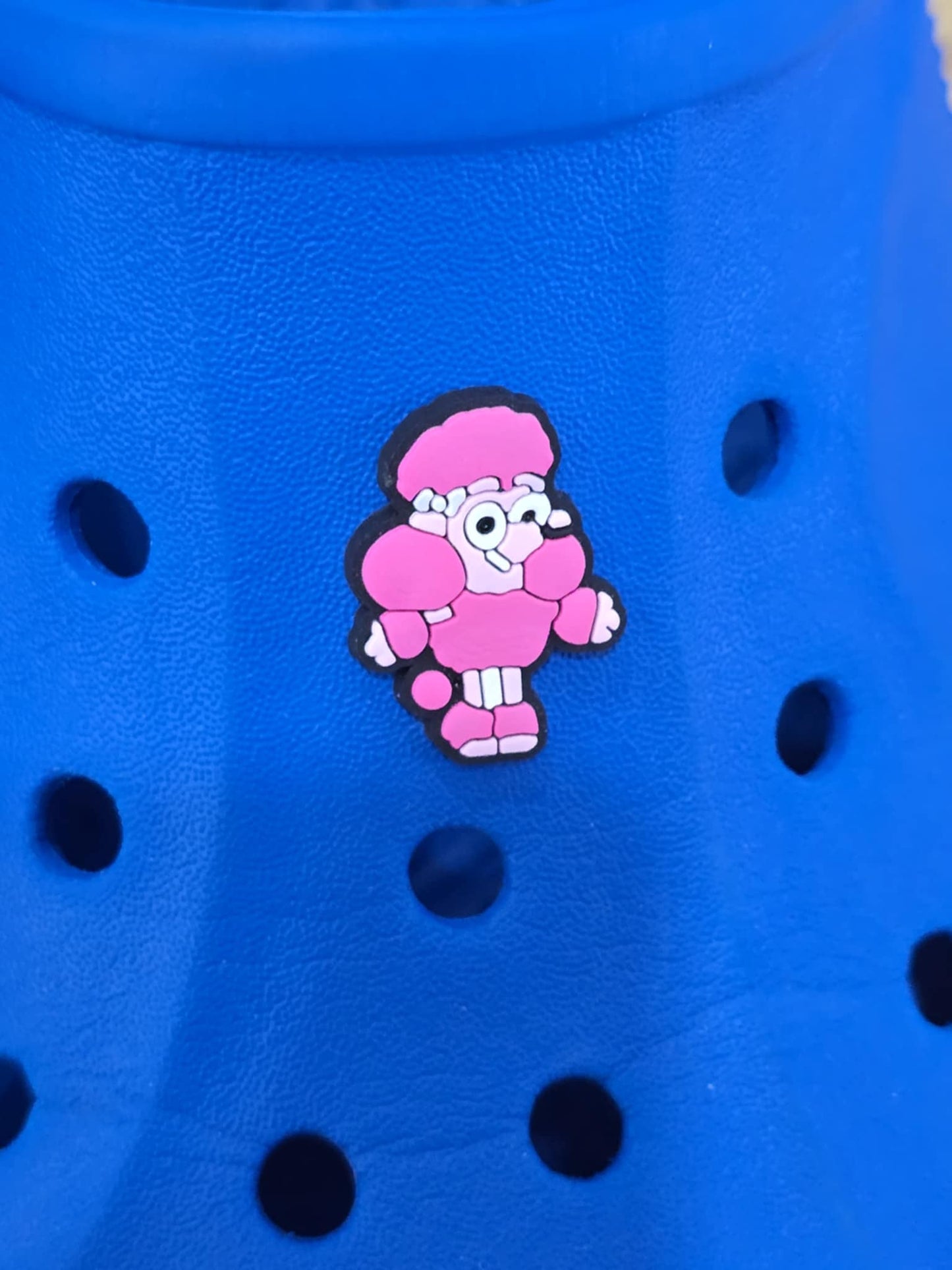 Bluey and Friends Charms