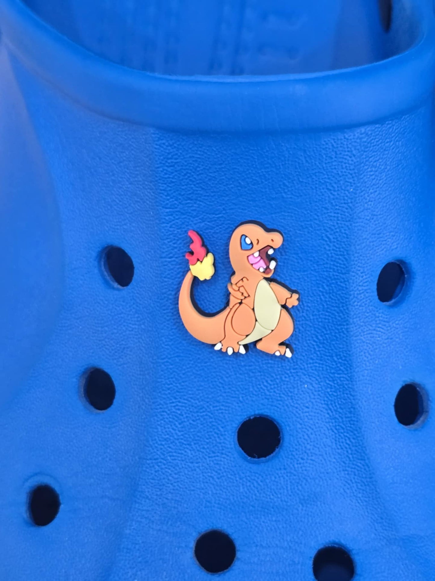 Pokémon Croc Charms