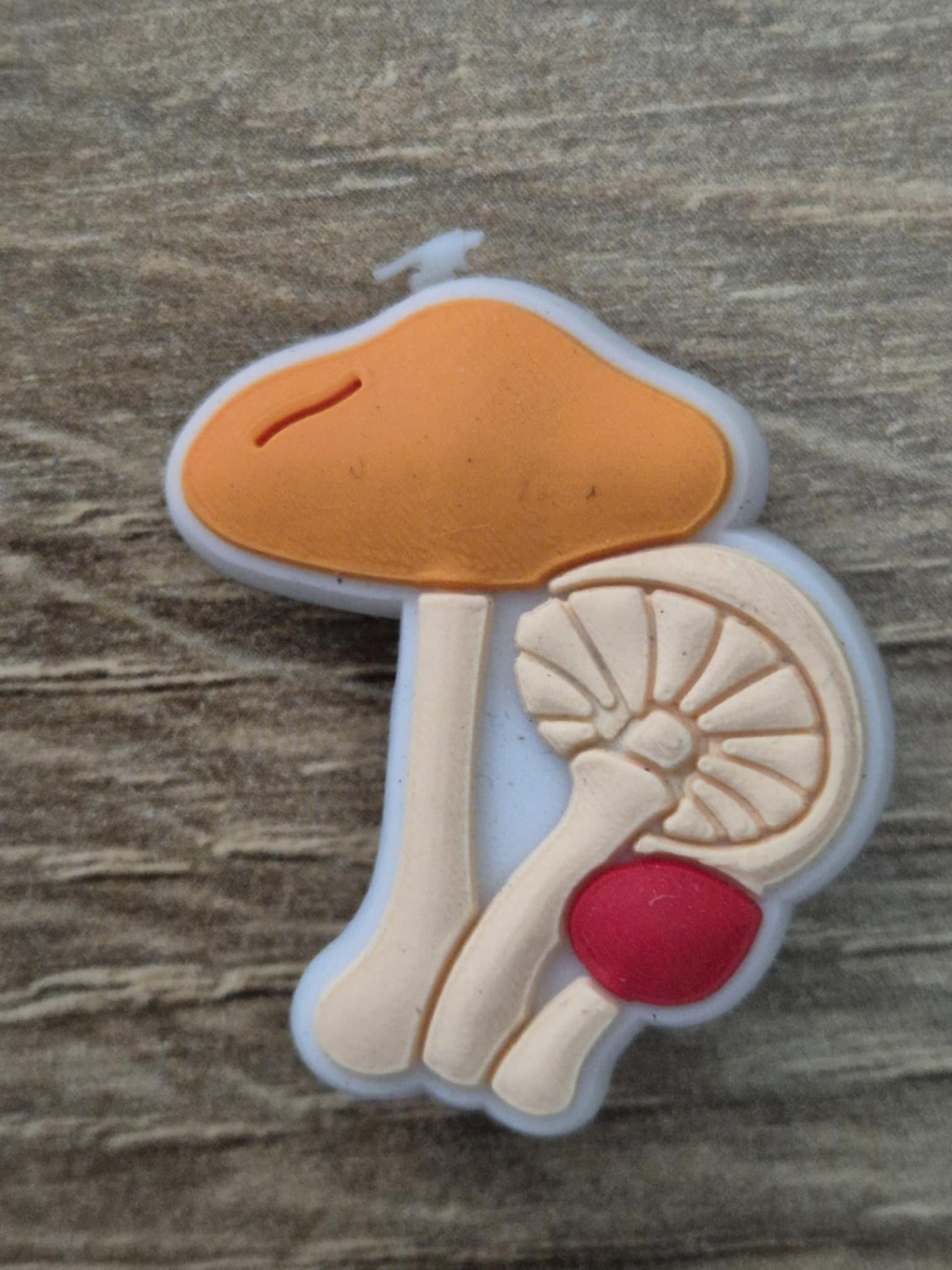 Toadstools/Mushrooms Charms